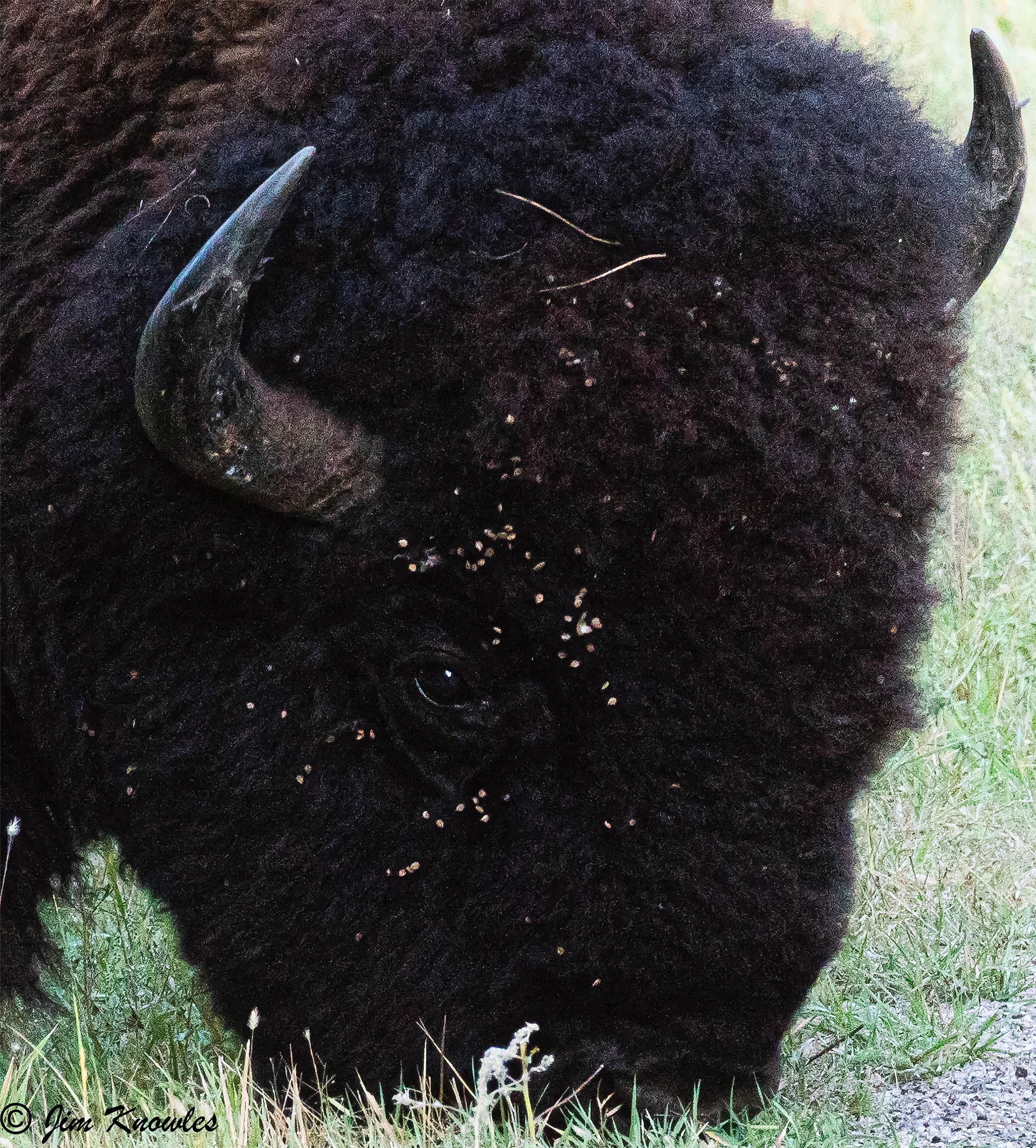 Even while feeding