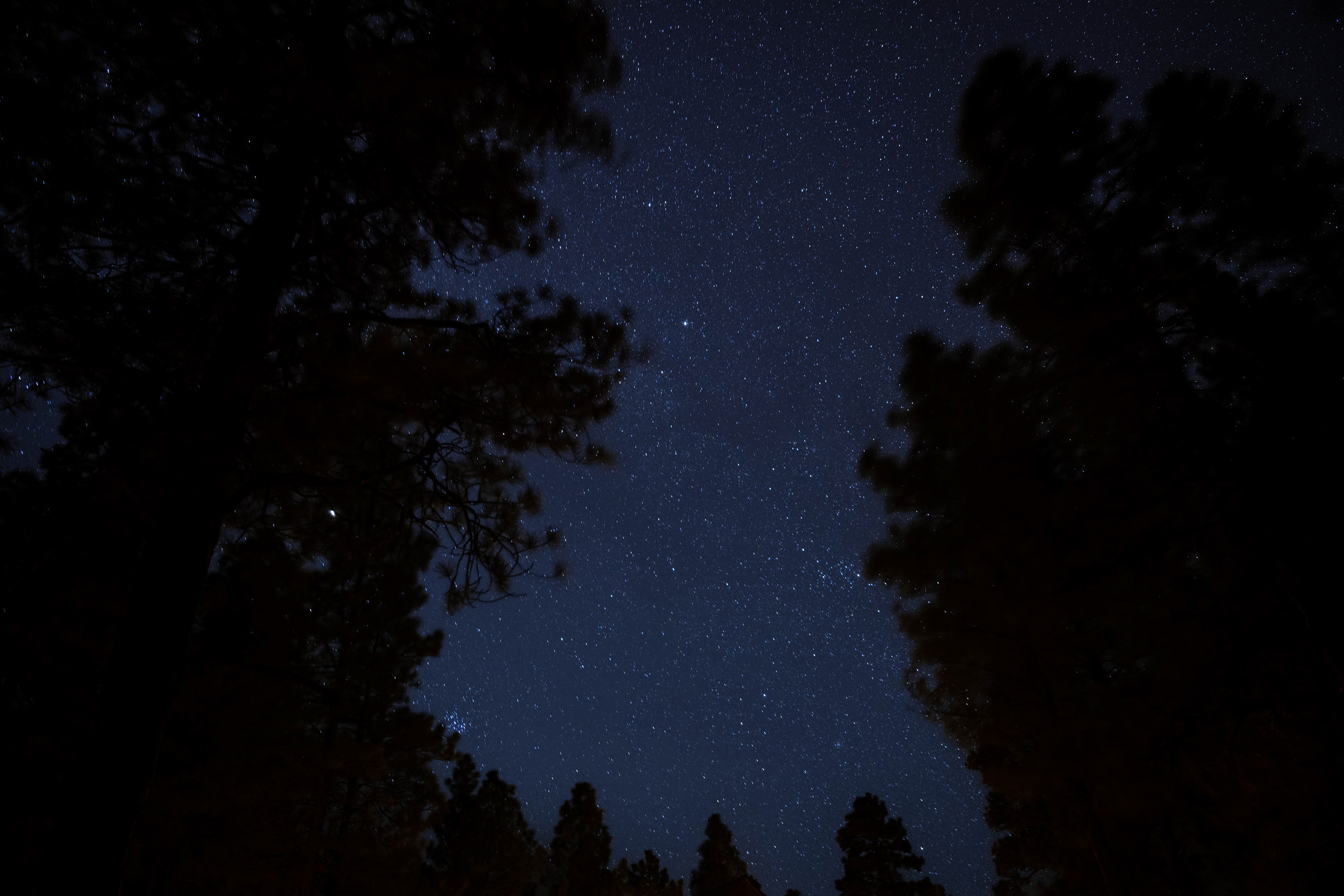 Night shots