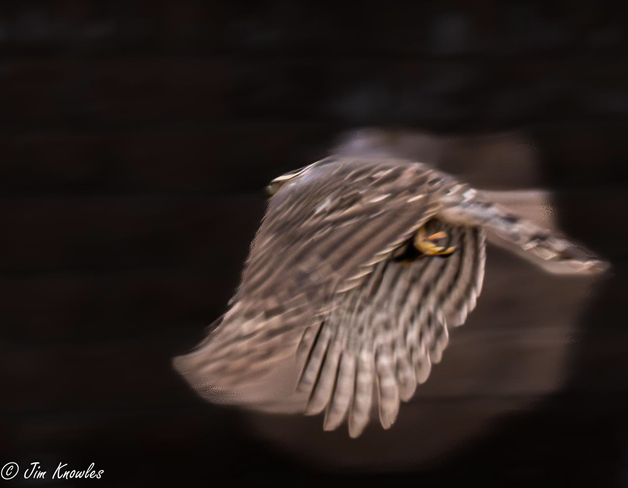 In flight