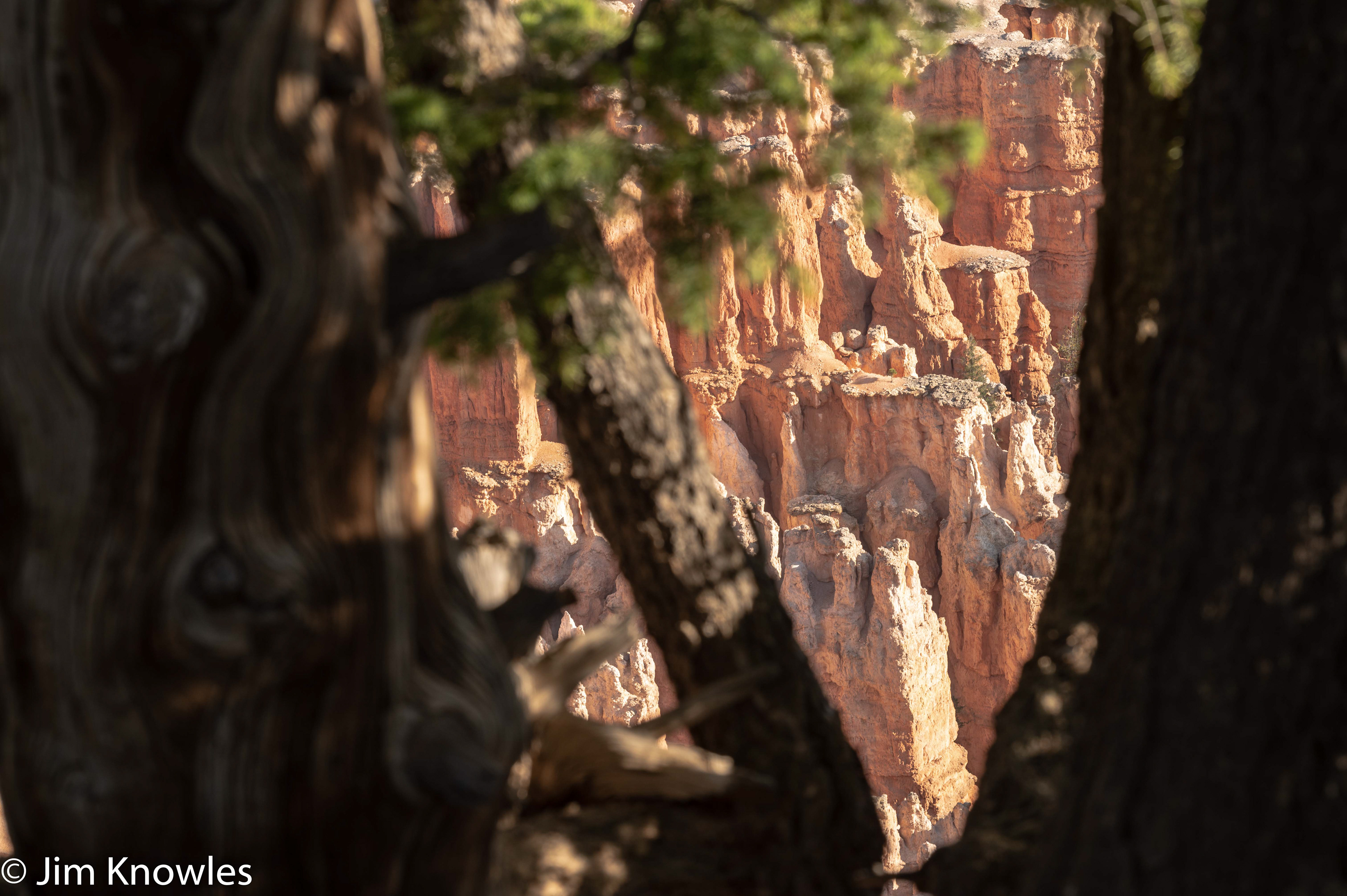 Hoodoos from a different angle