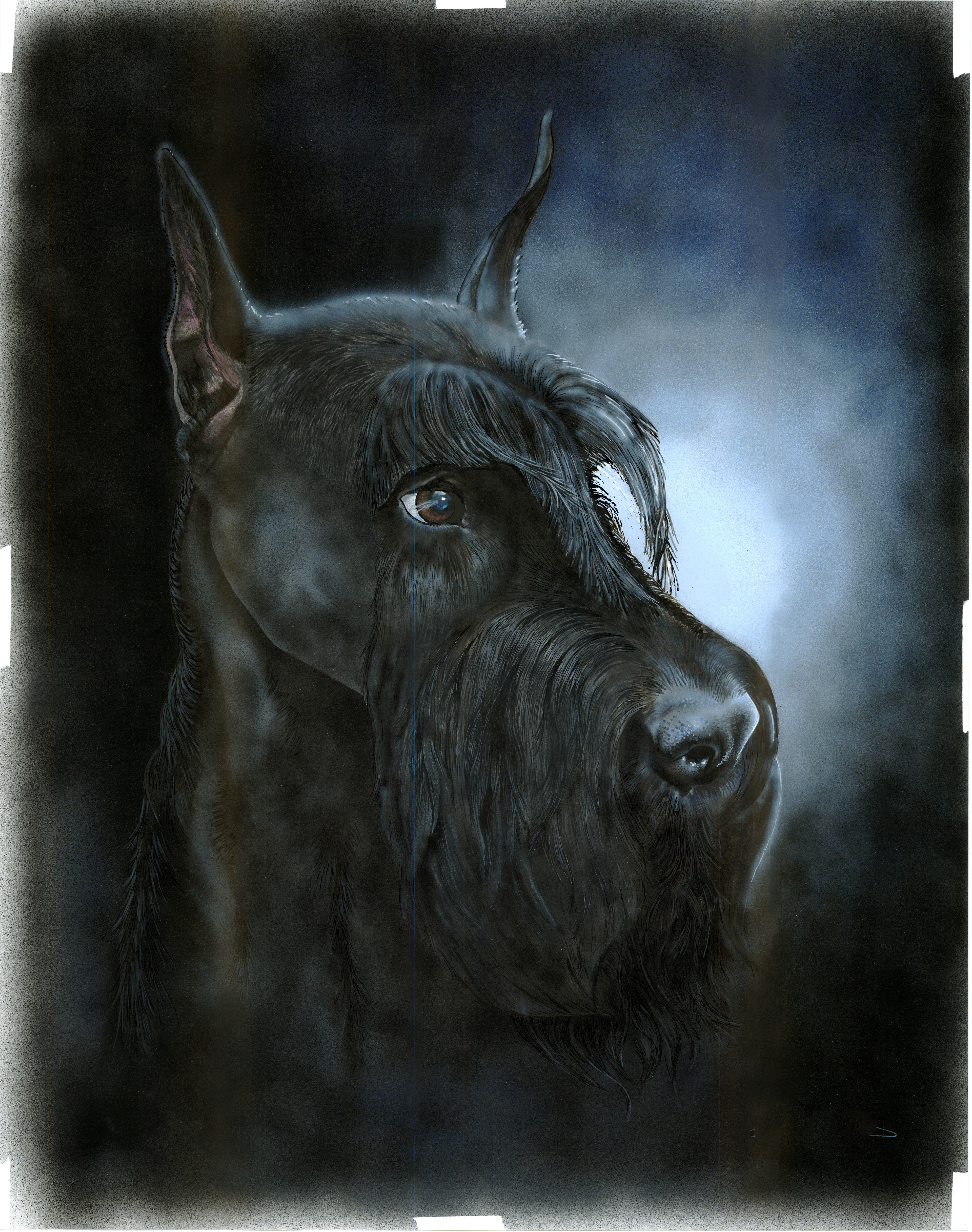 Dennis Felrod Black on Black