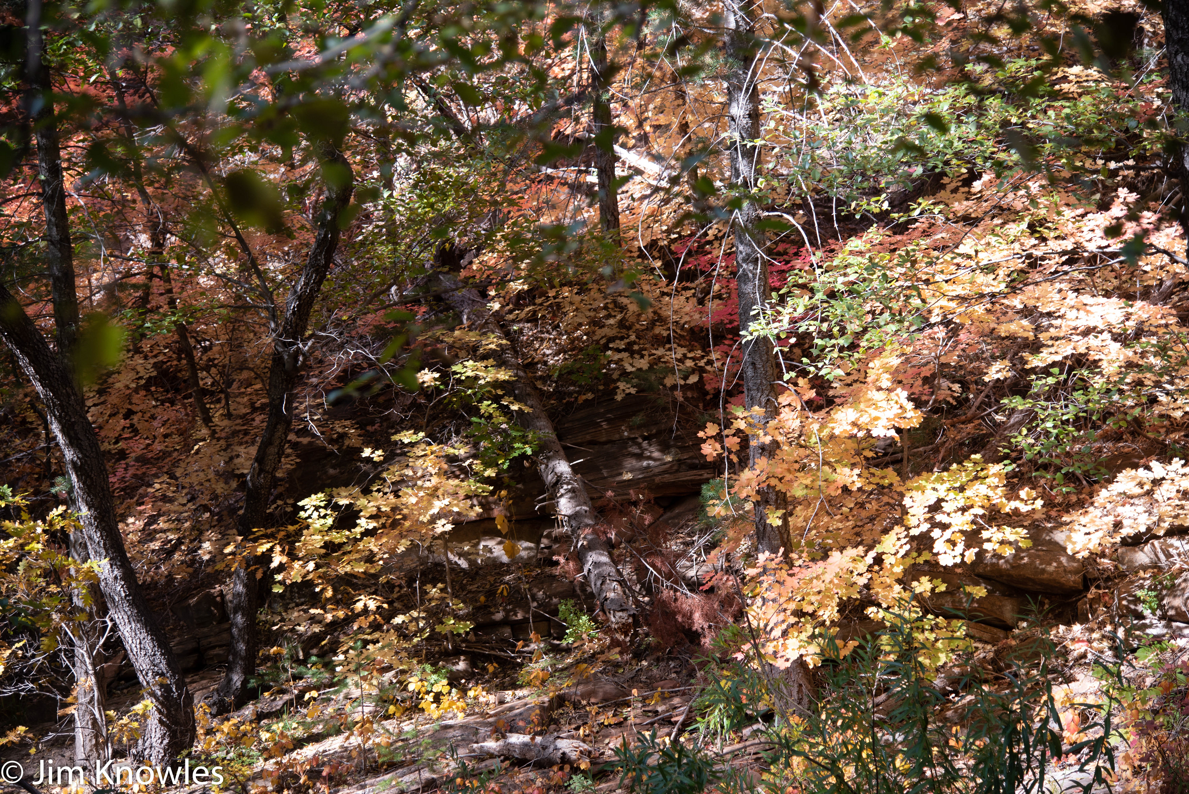 On our hike