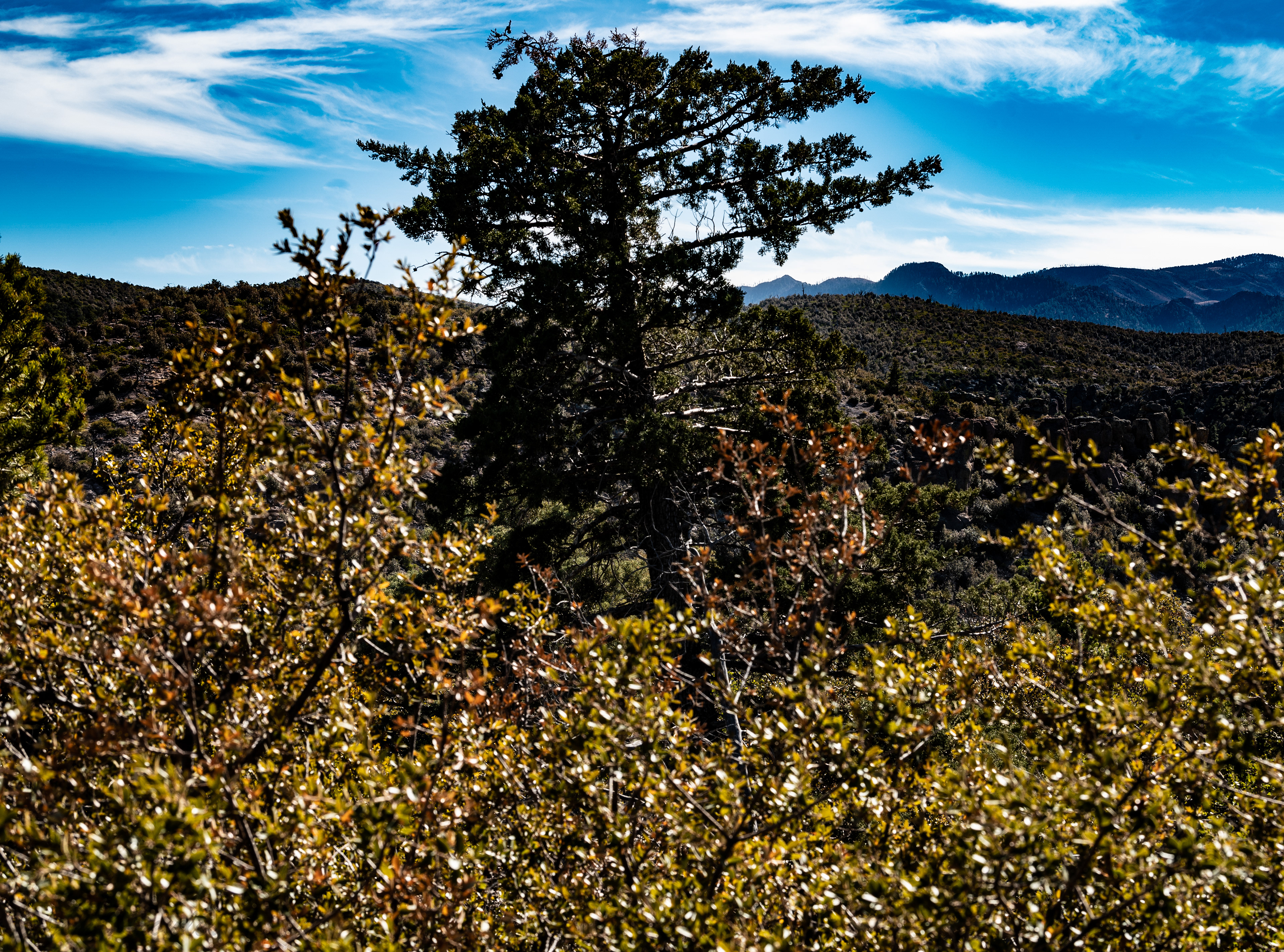 From top of the mountain
