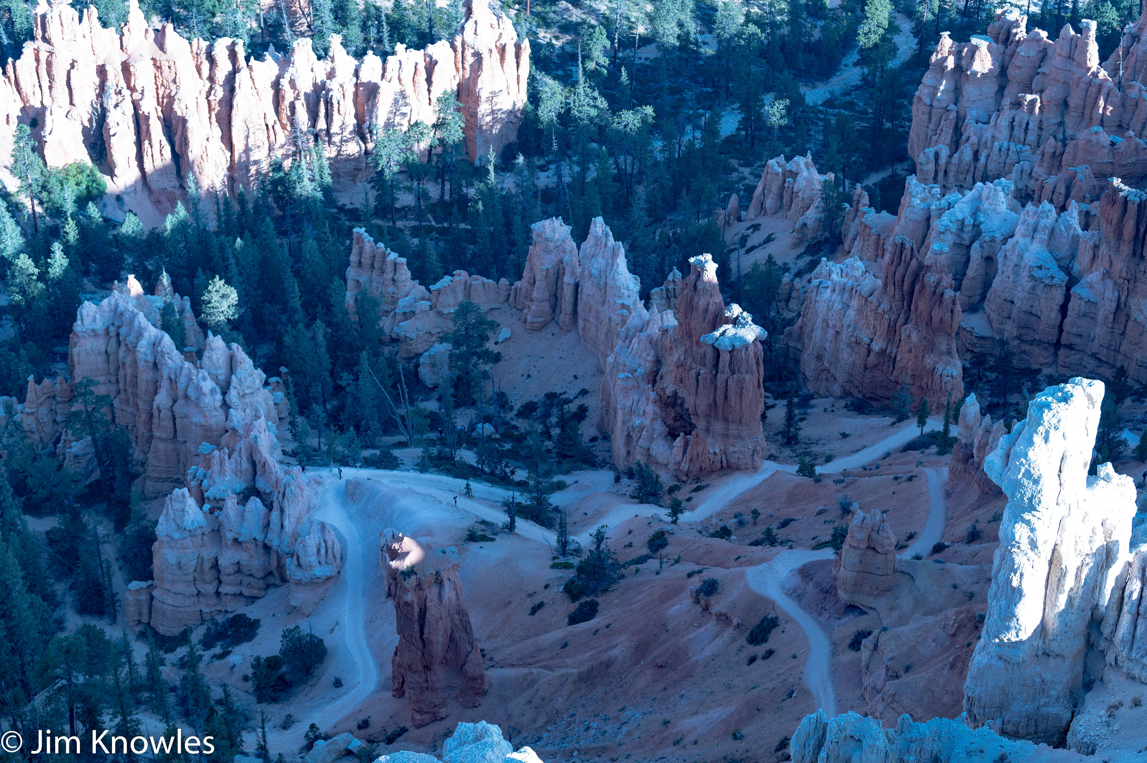 Trails at bottom of the canyon