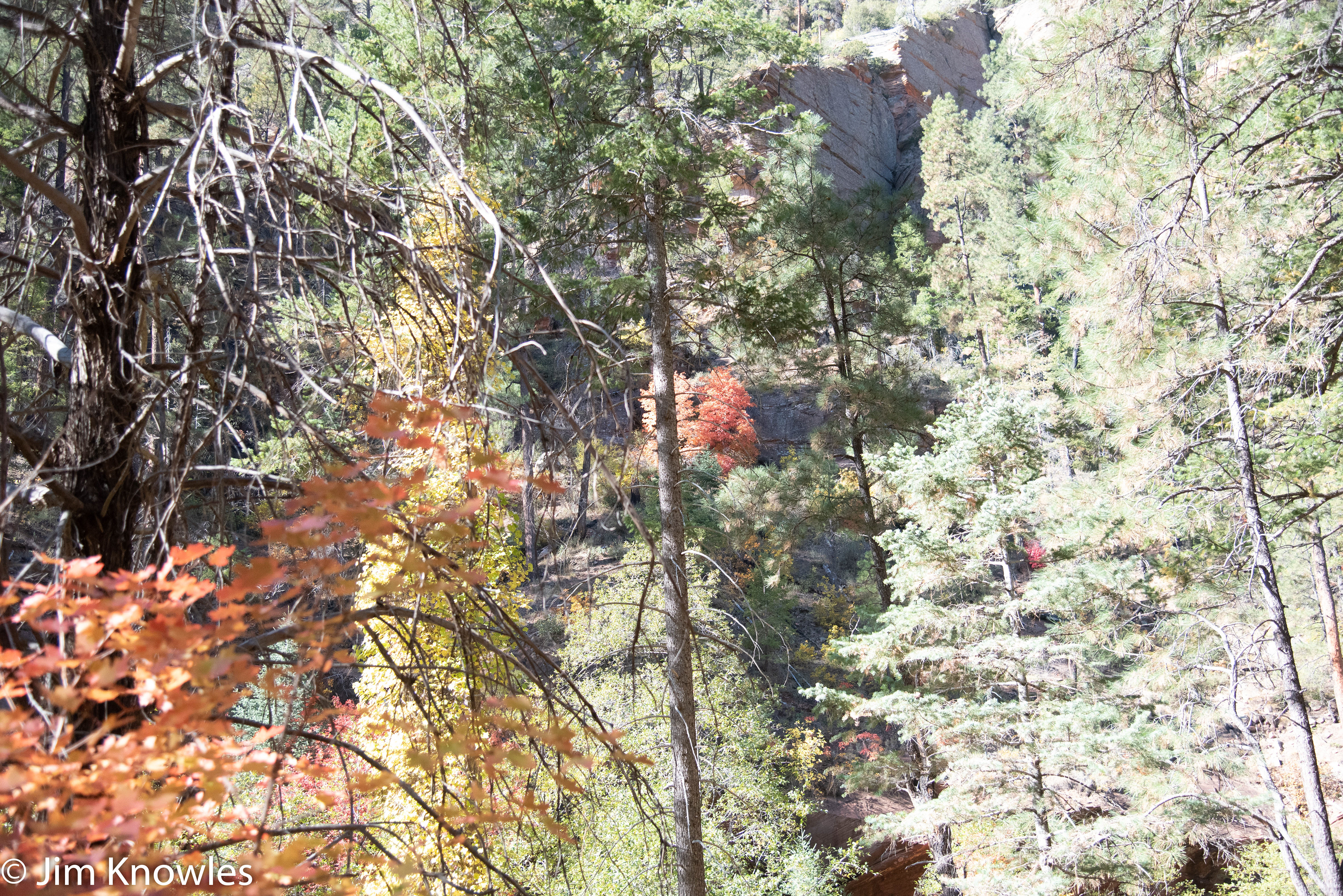 On our hike
