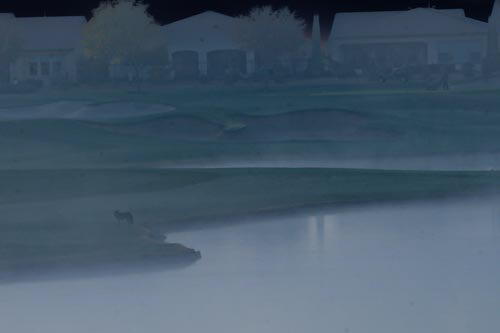 Earl morning fog