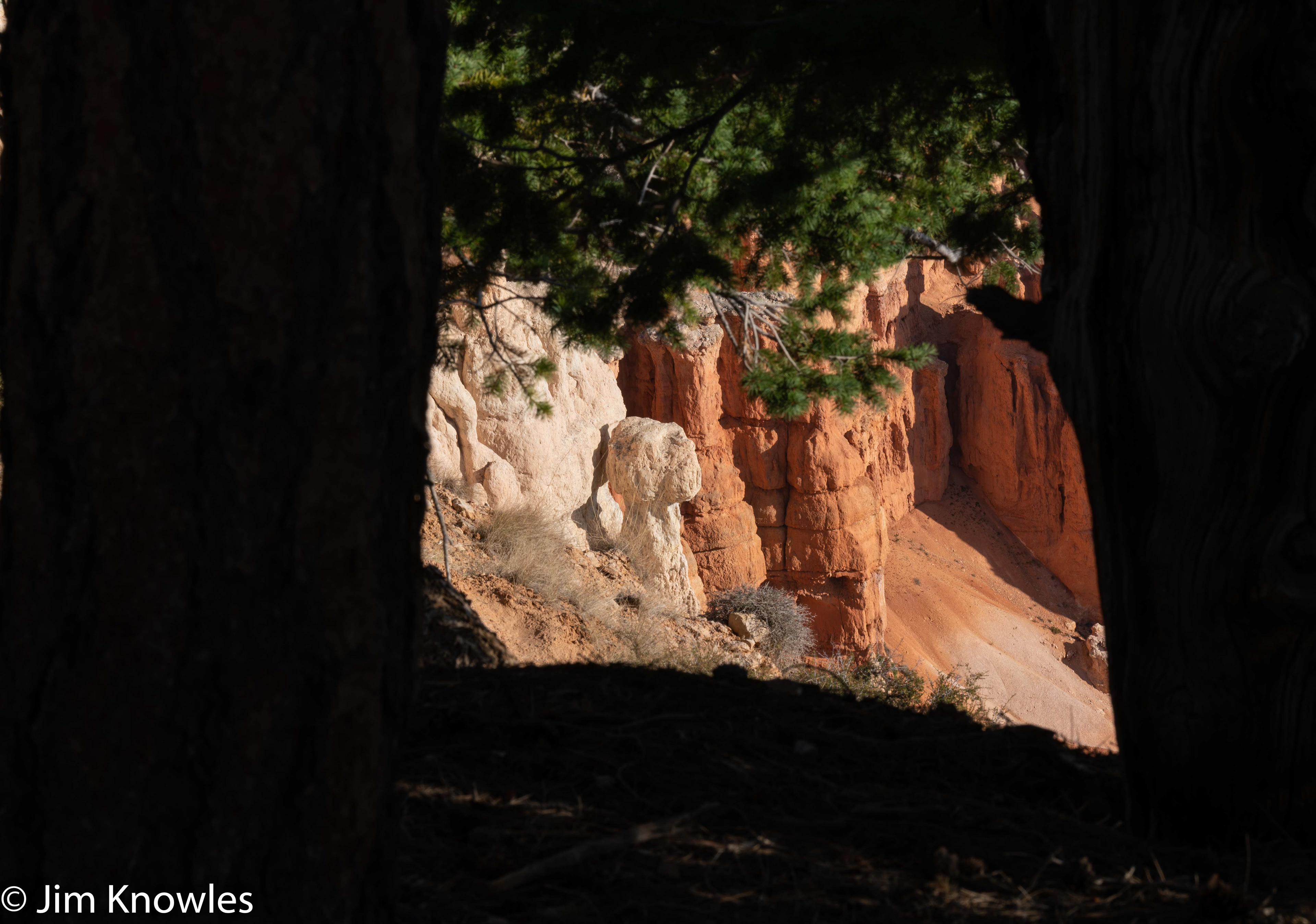 More hoodoos