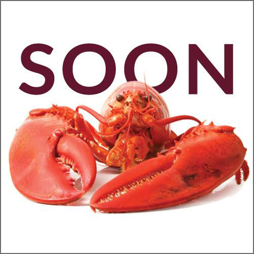 Facebook Teaser
