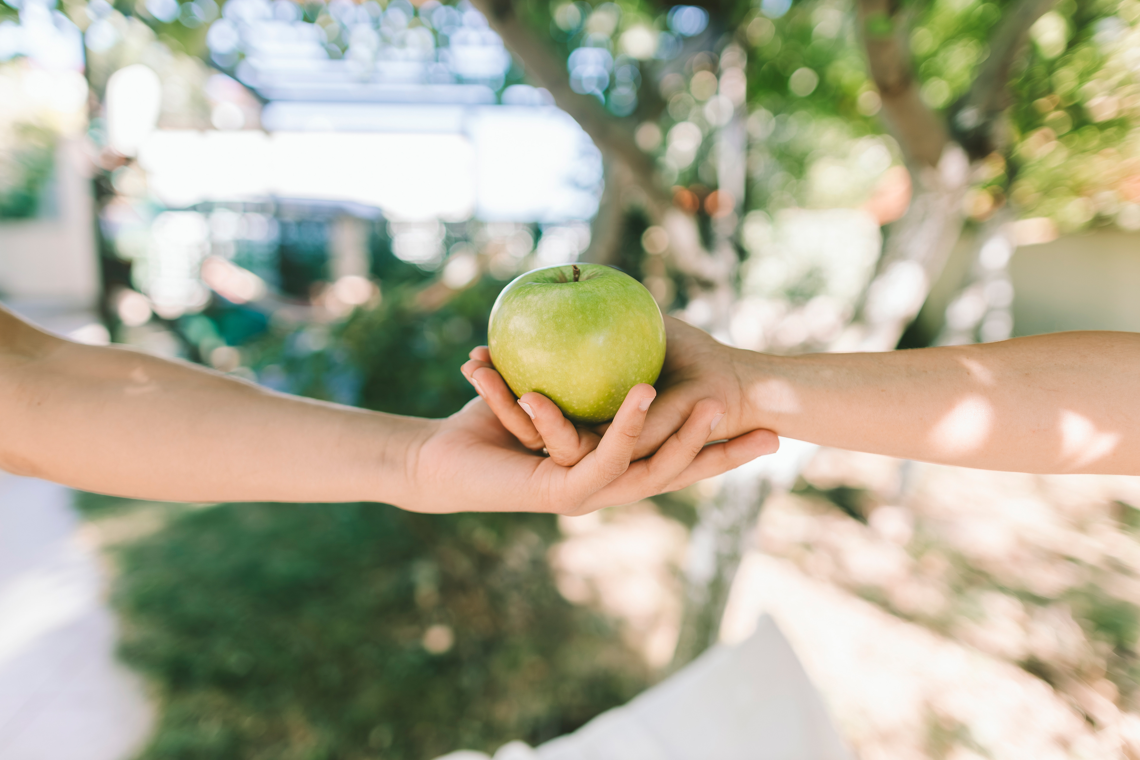 Simple exchange — trust, generosity, human connection, shared values, mindful living. By Svetlana Iakusheva