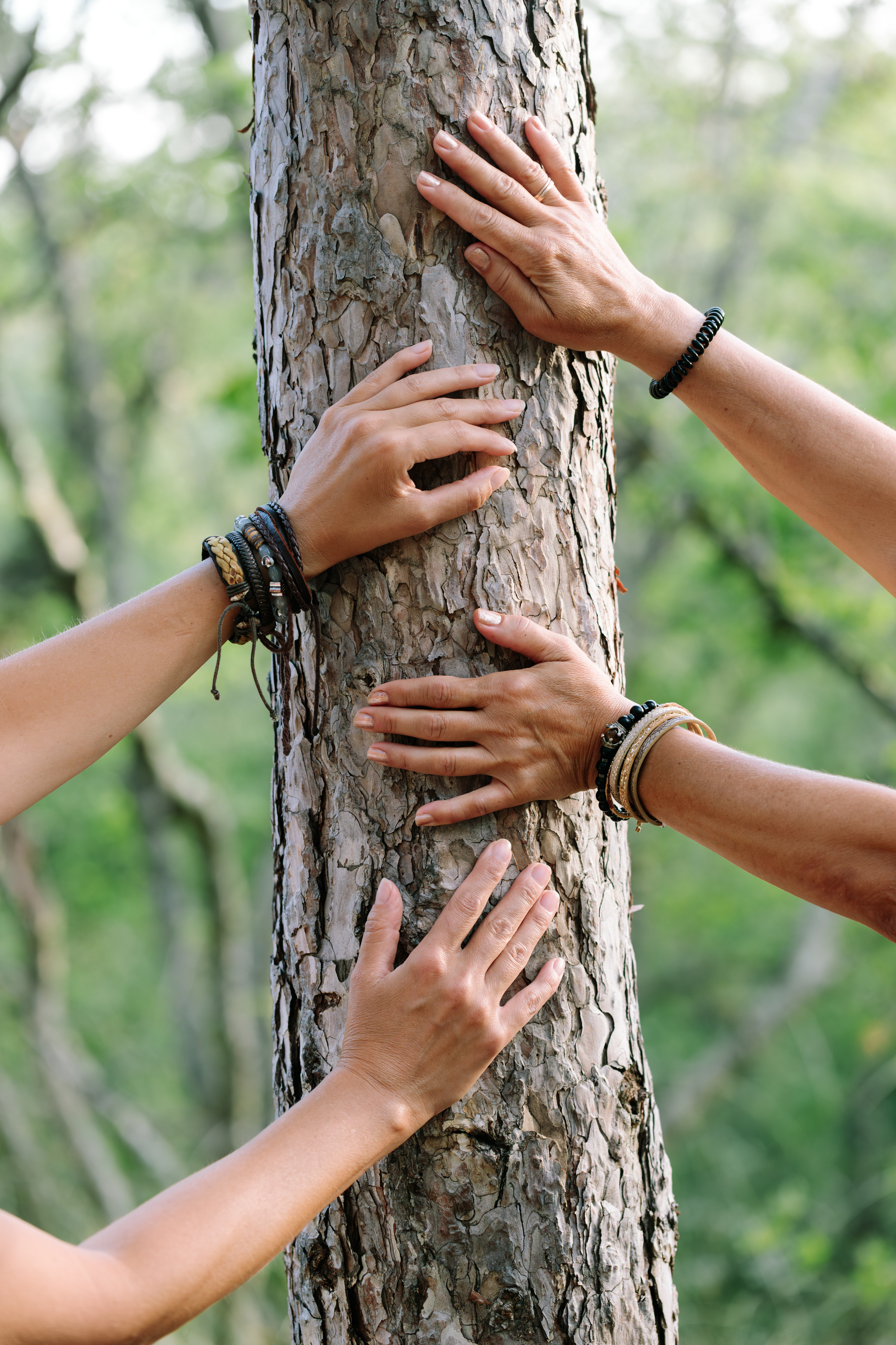 Rooted together — unity, nature, and connection beyond words. By Svetlana Iakusheva