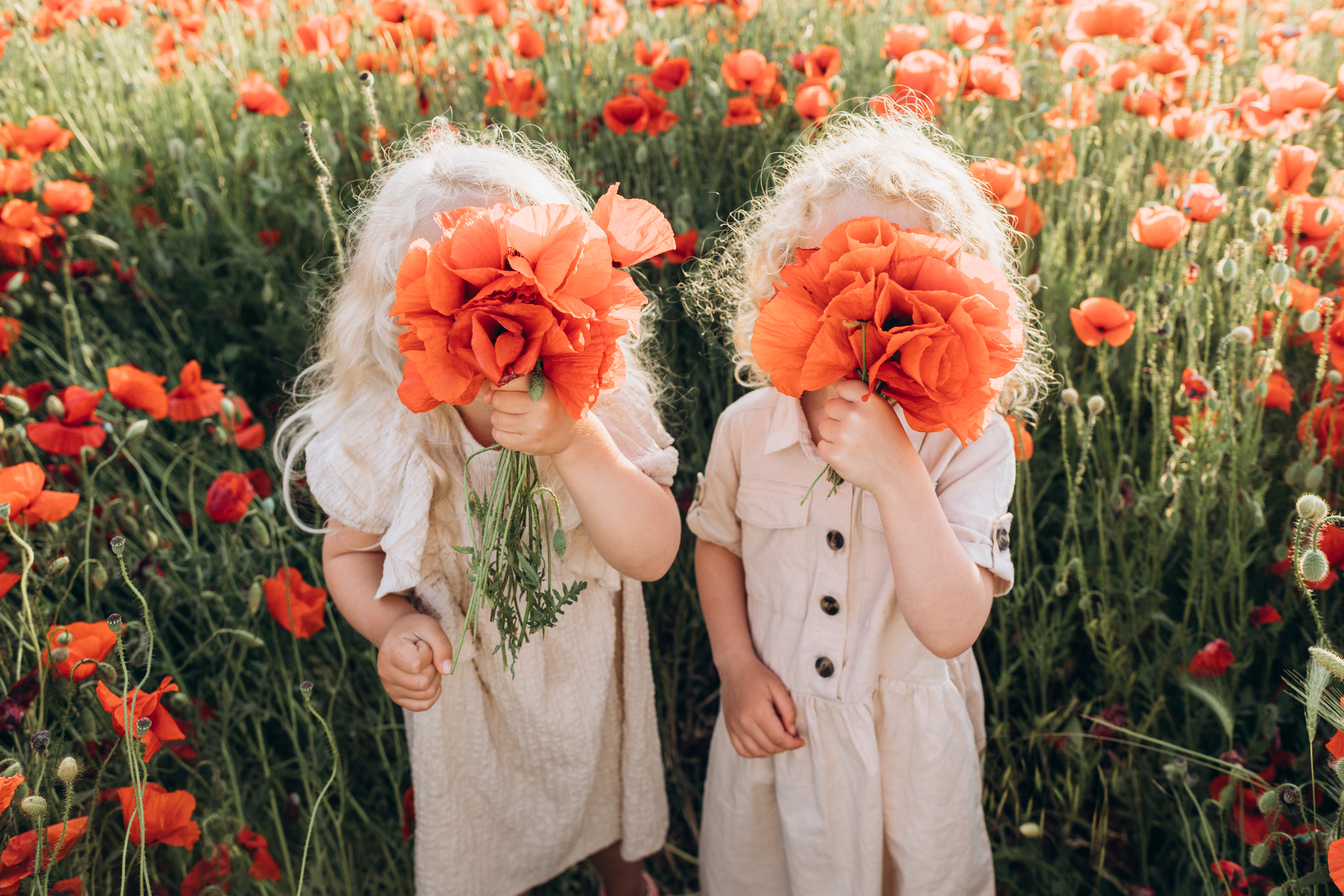 Imagination in bloom — the poetry of childhood and play. By Svetlana Iakusheva