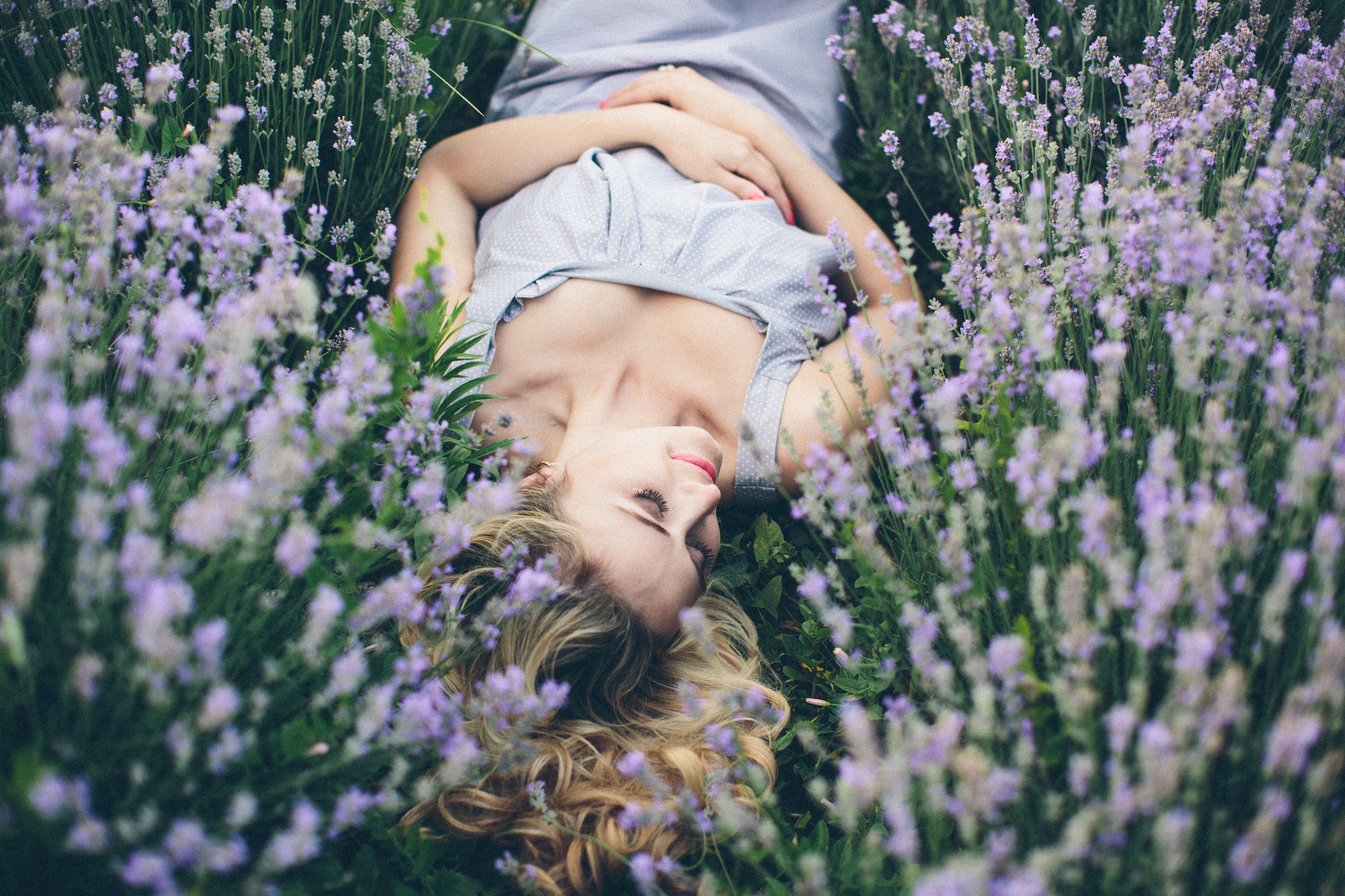 Lavender dreams — peace, nature, and innocence. By Svetlana Iakusheva