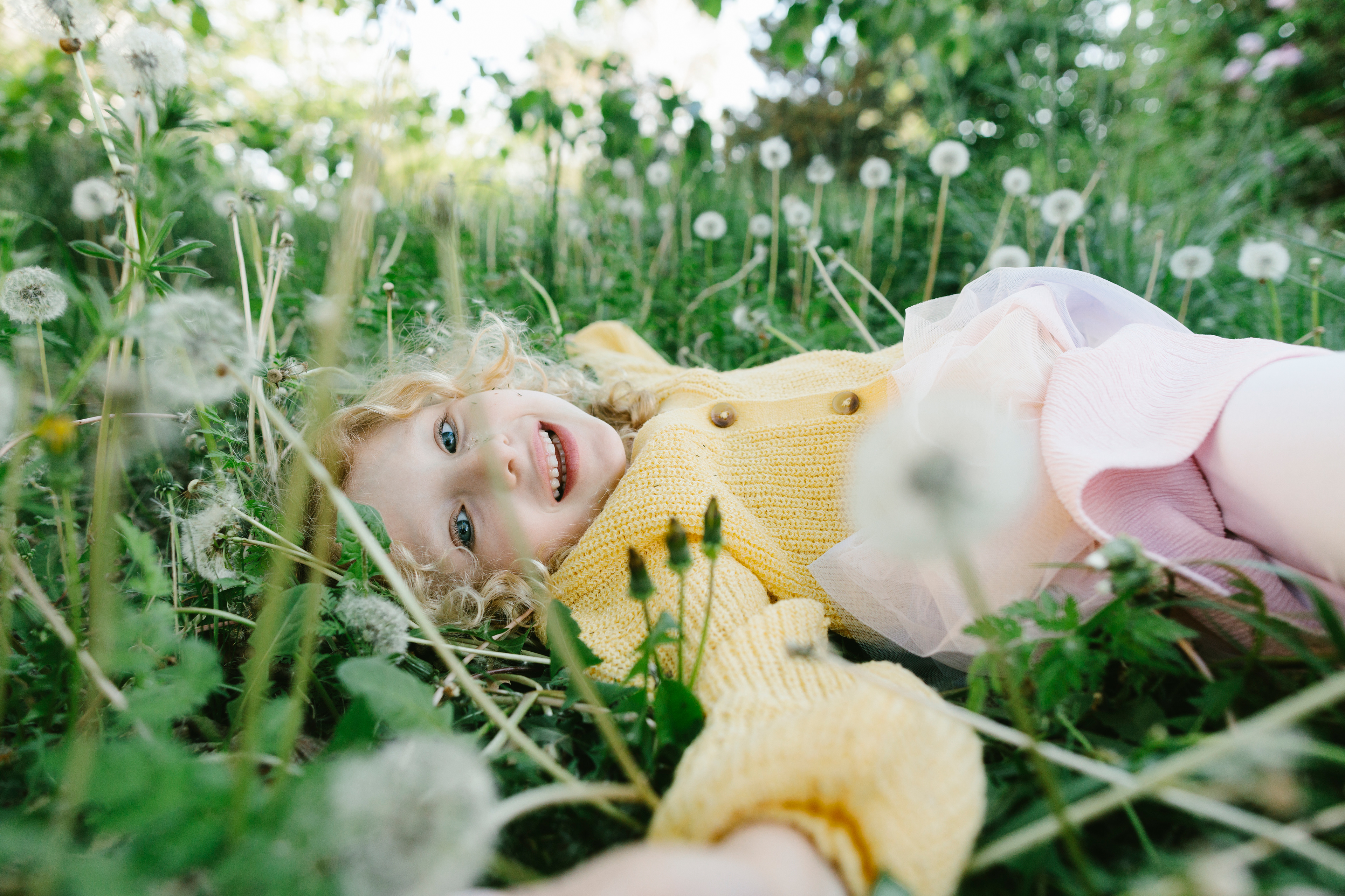 Golden laughter — springtime lightness and dandelion dreams. By Svetlana Iakusheva