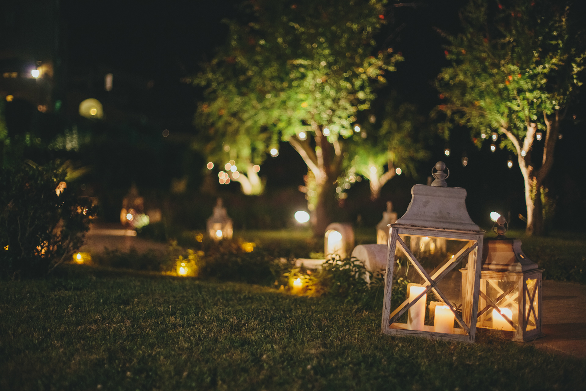 Where silence glows — a garden filled with stories after dark. By Svetlana Iakusheva