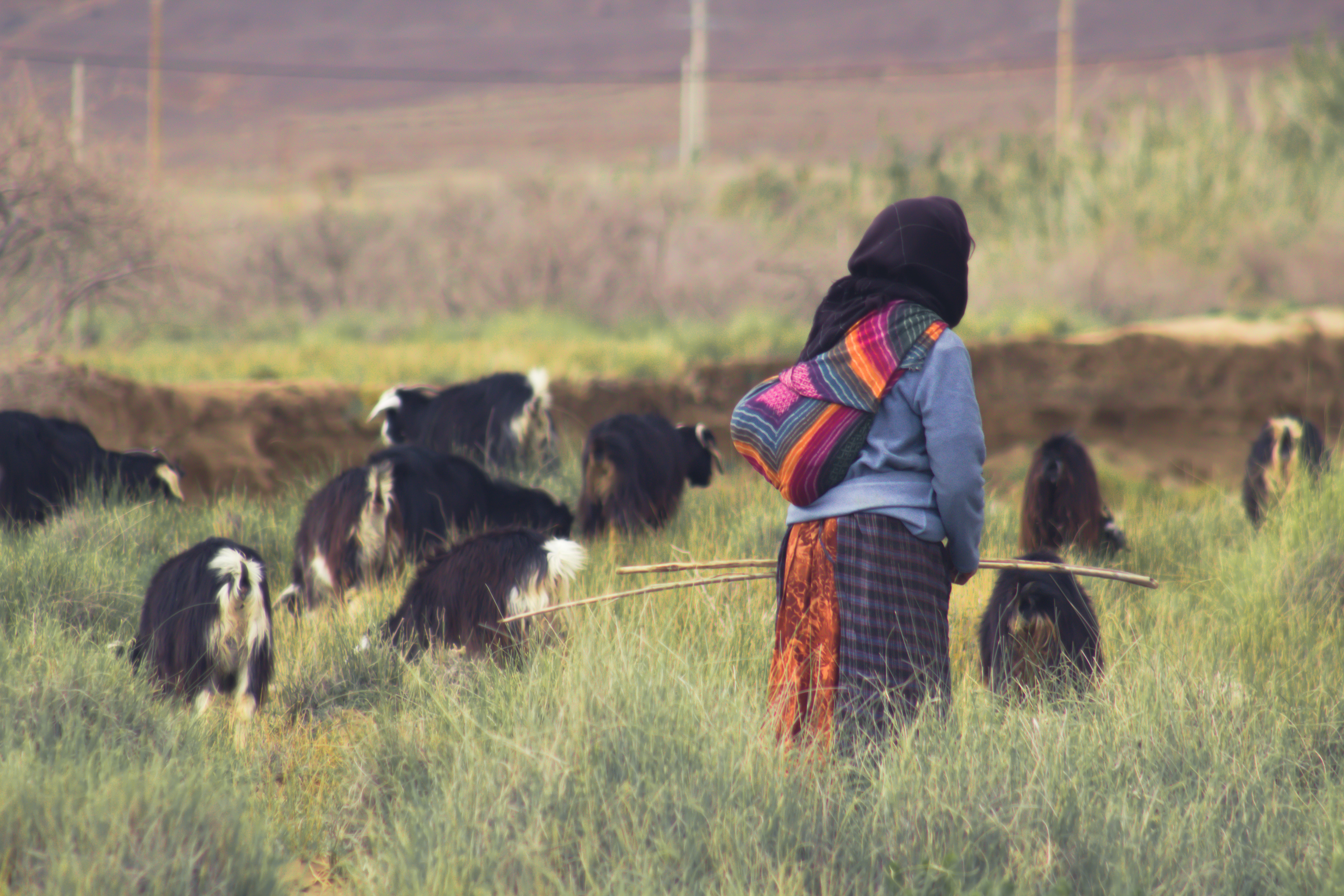 Fantastic travel to Morocco!