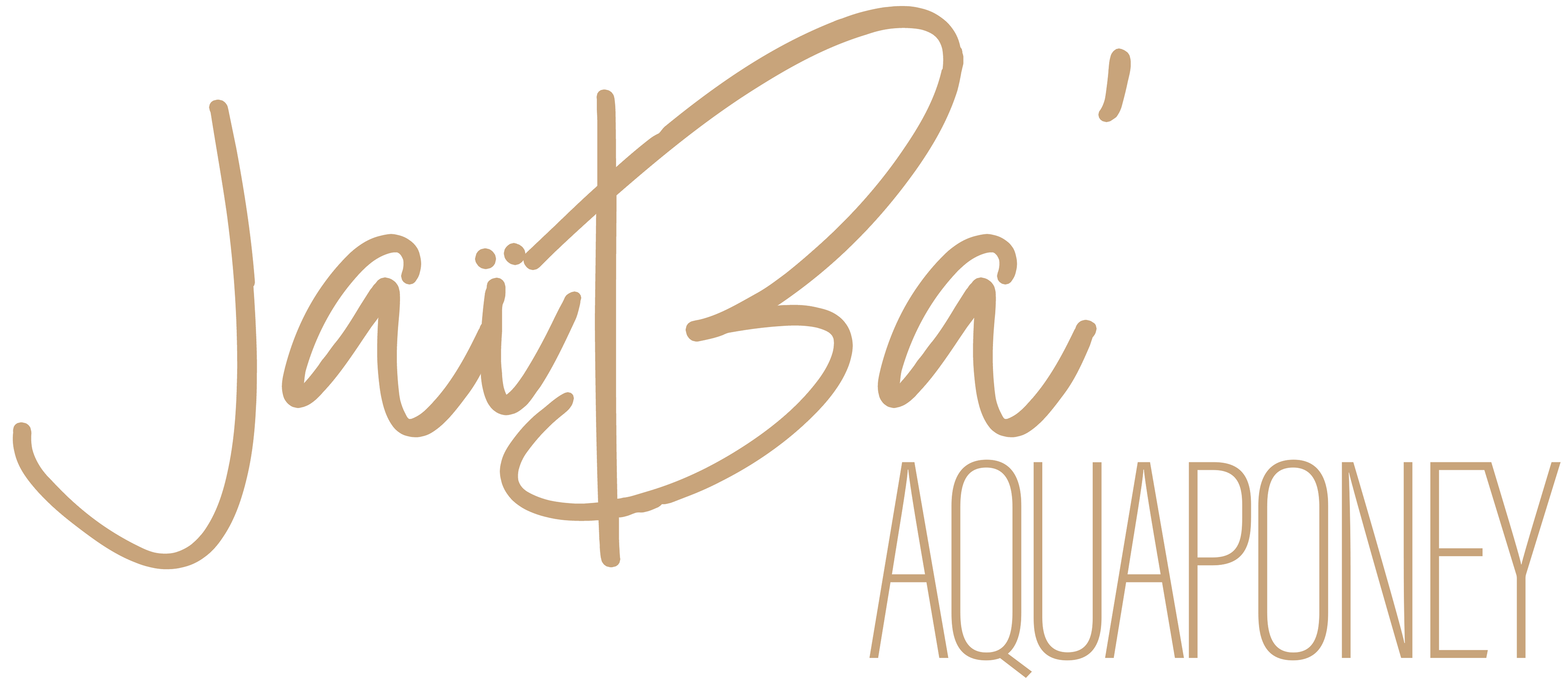 JaïBa' aquaponey
