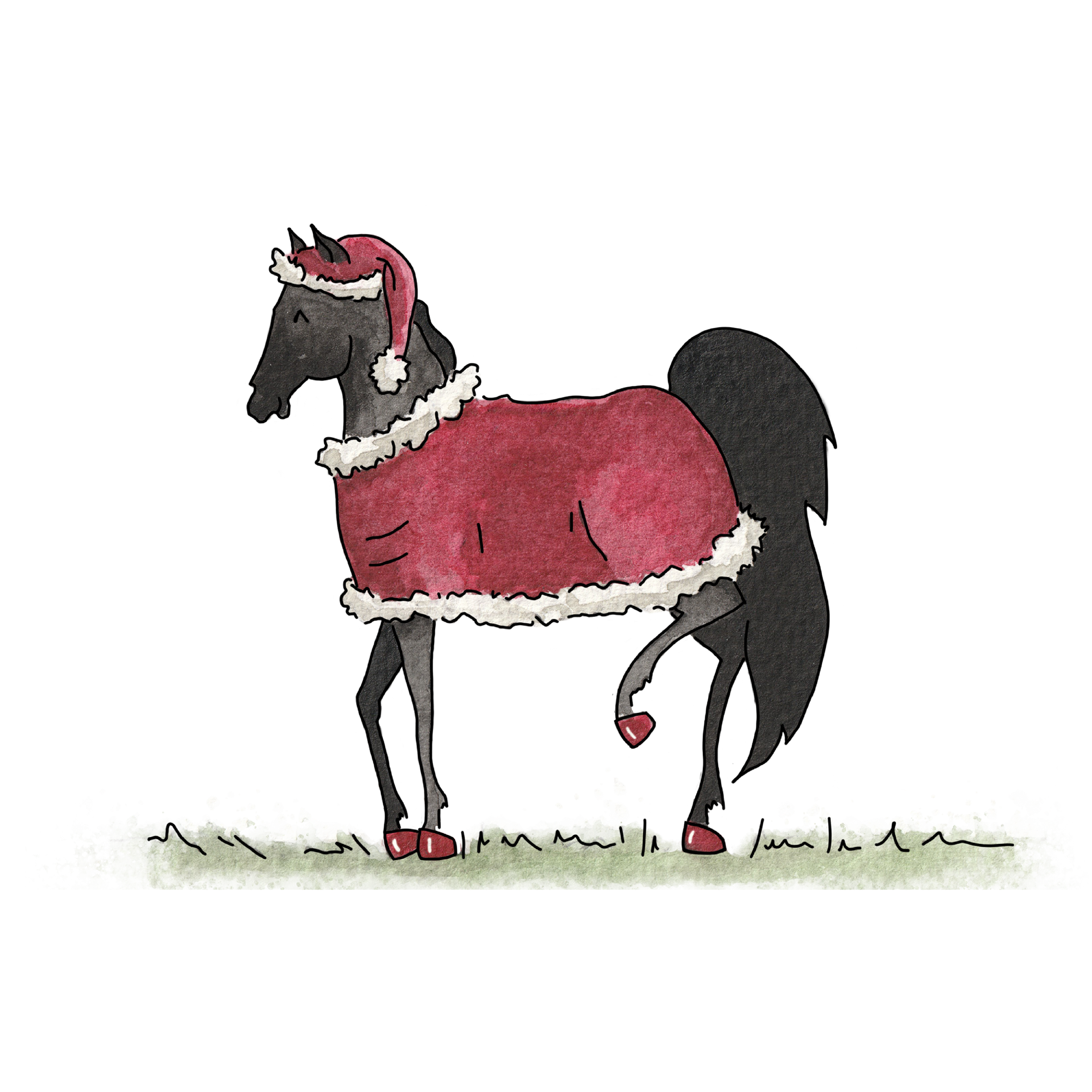 Noel