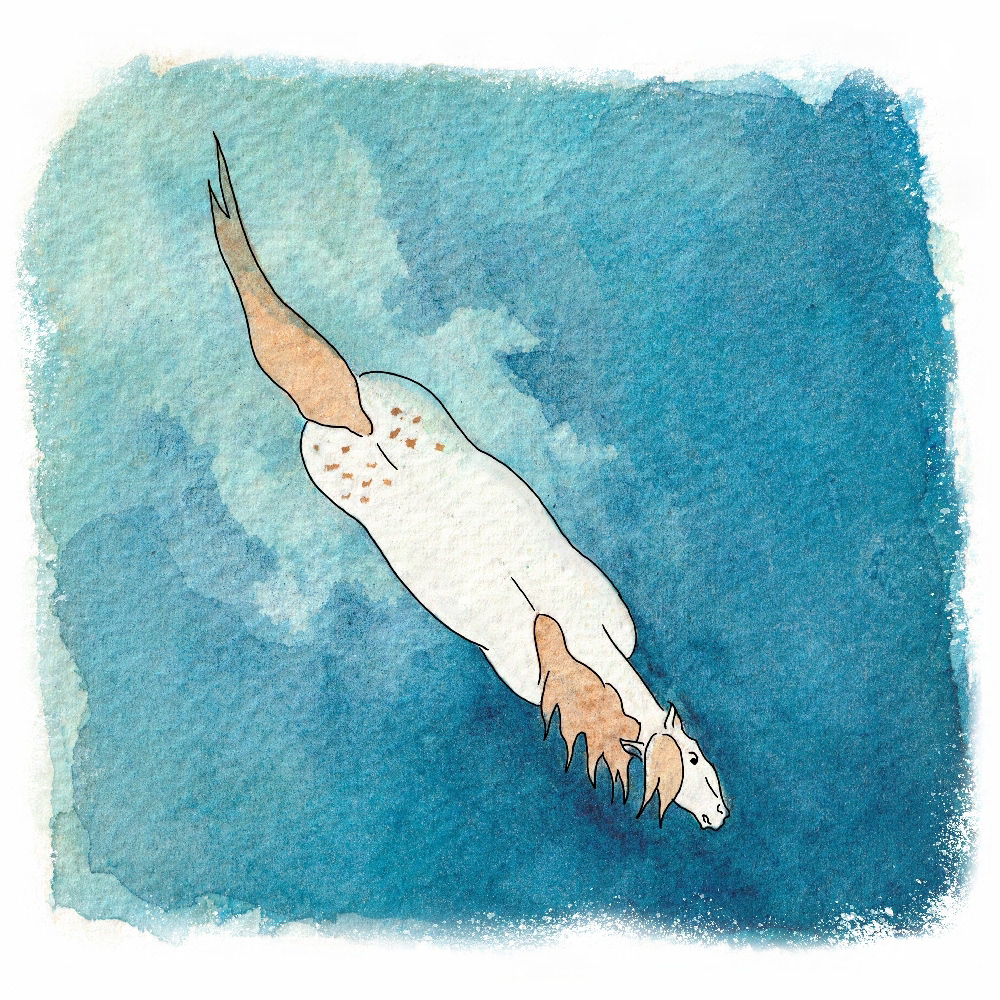 Mer