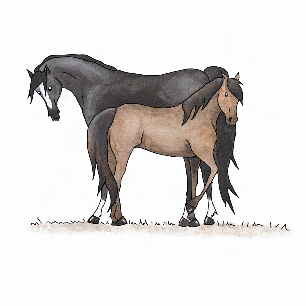 Jaipur & Balios