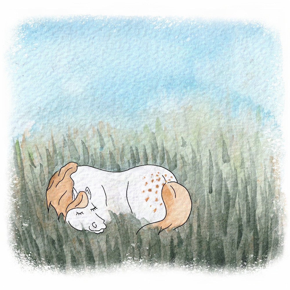 Sieste