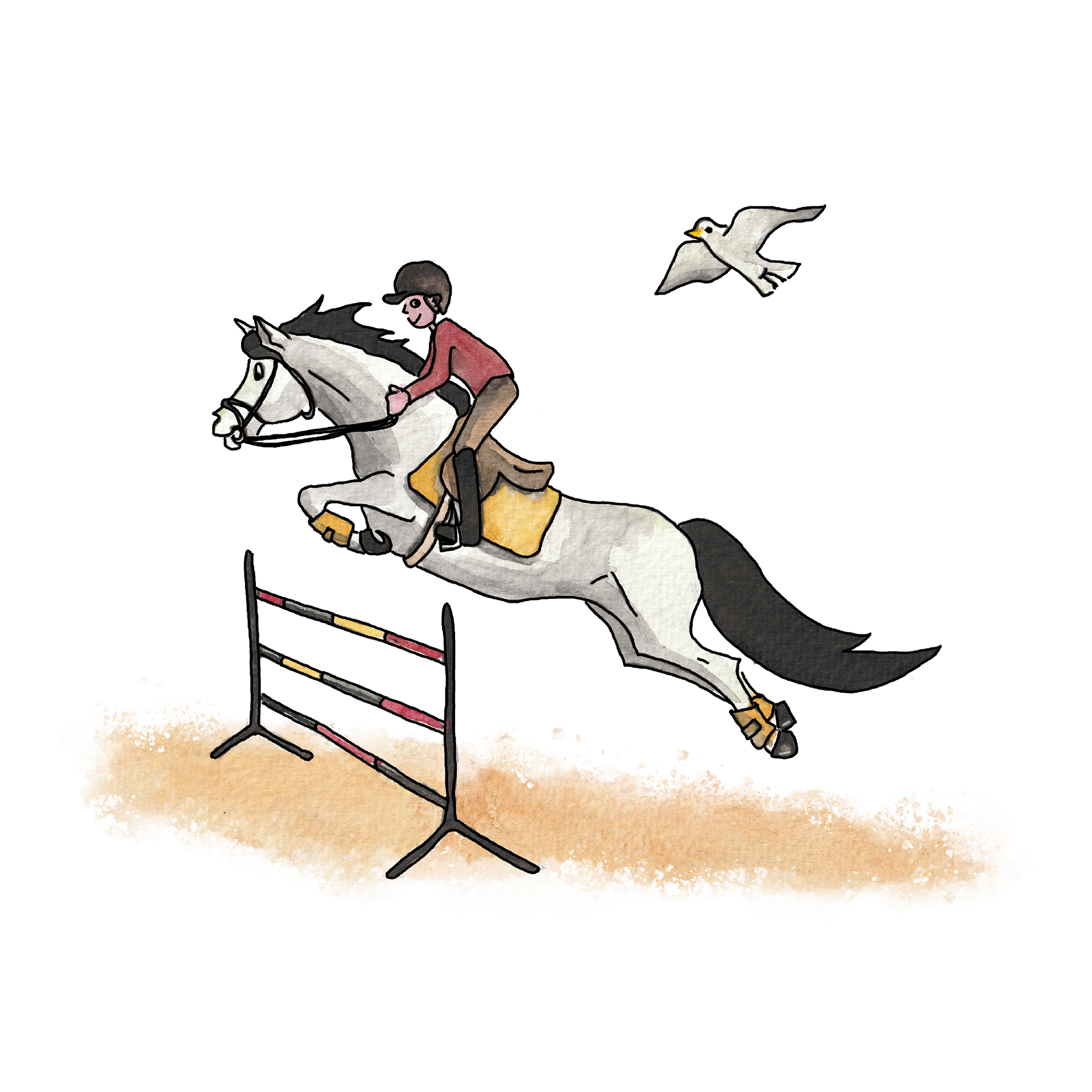 Saut