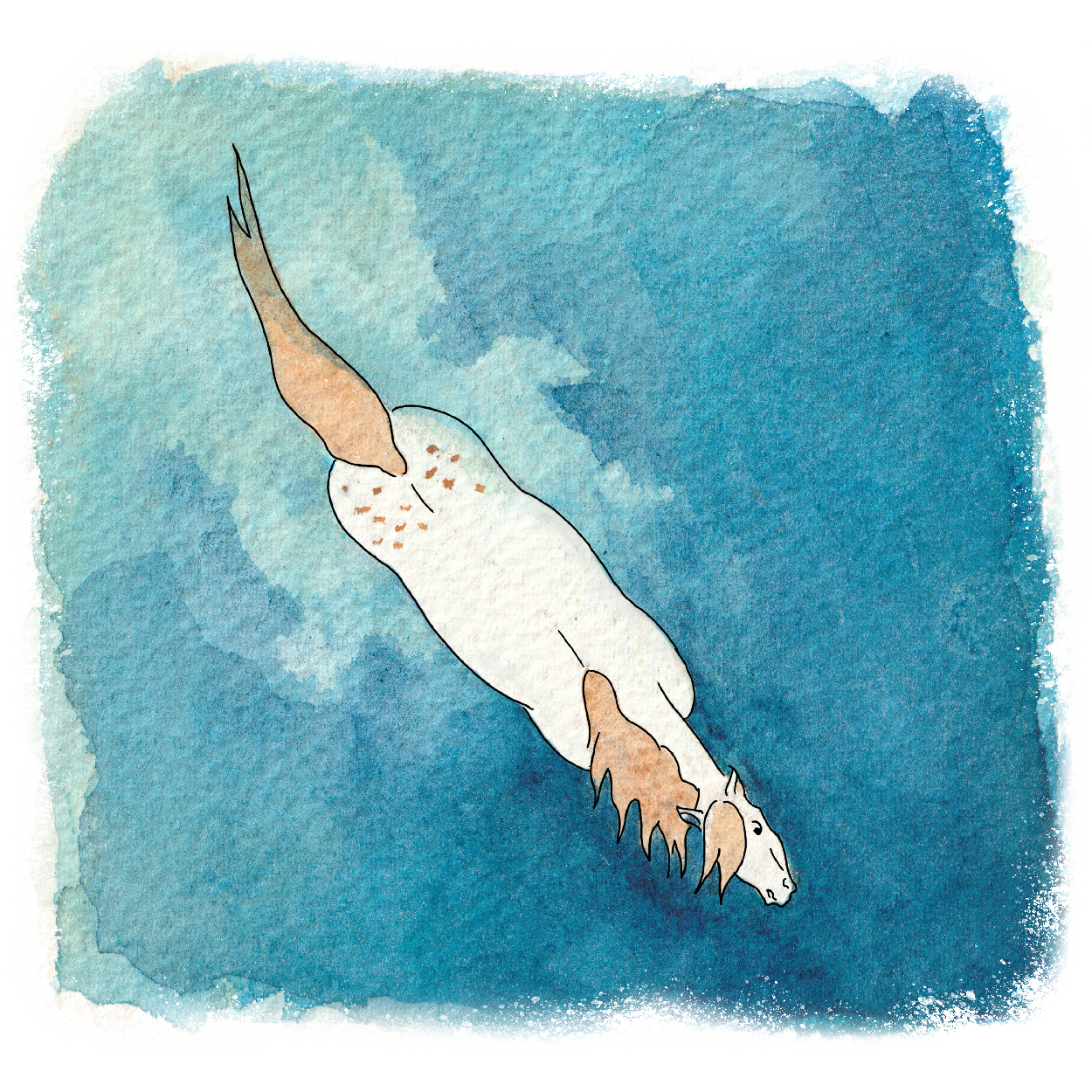 Mer