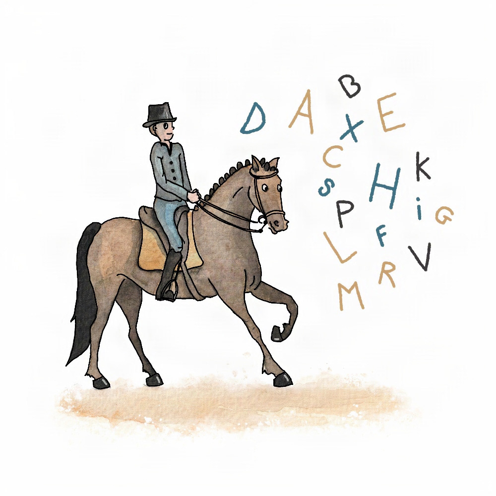 Dressage
