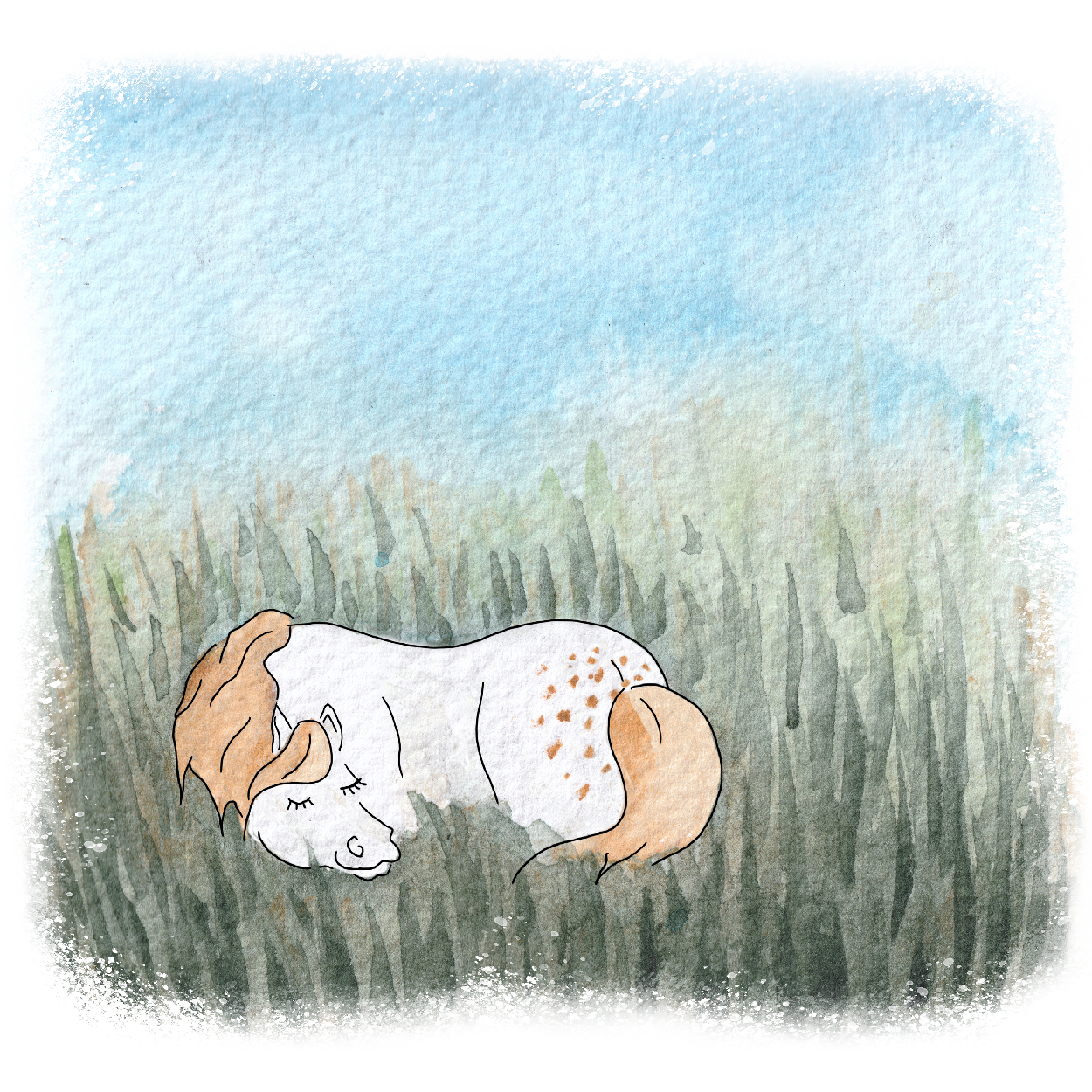 Sieste