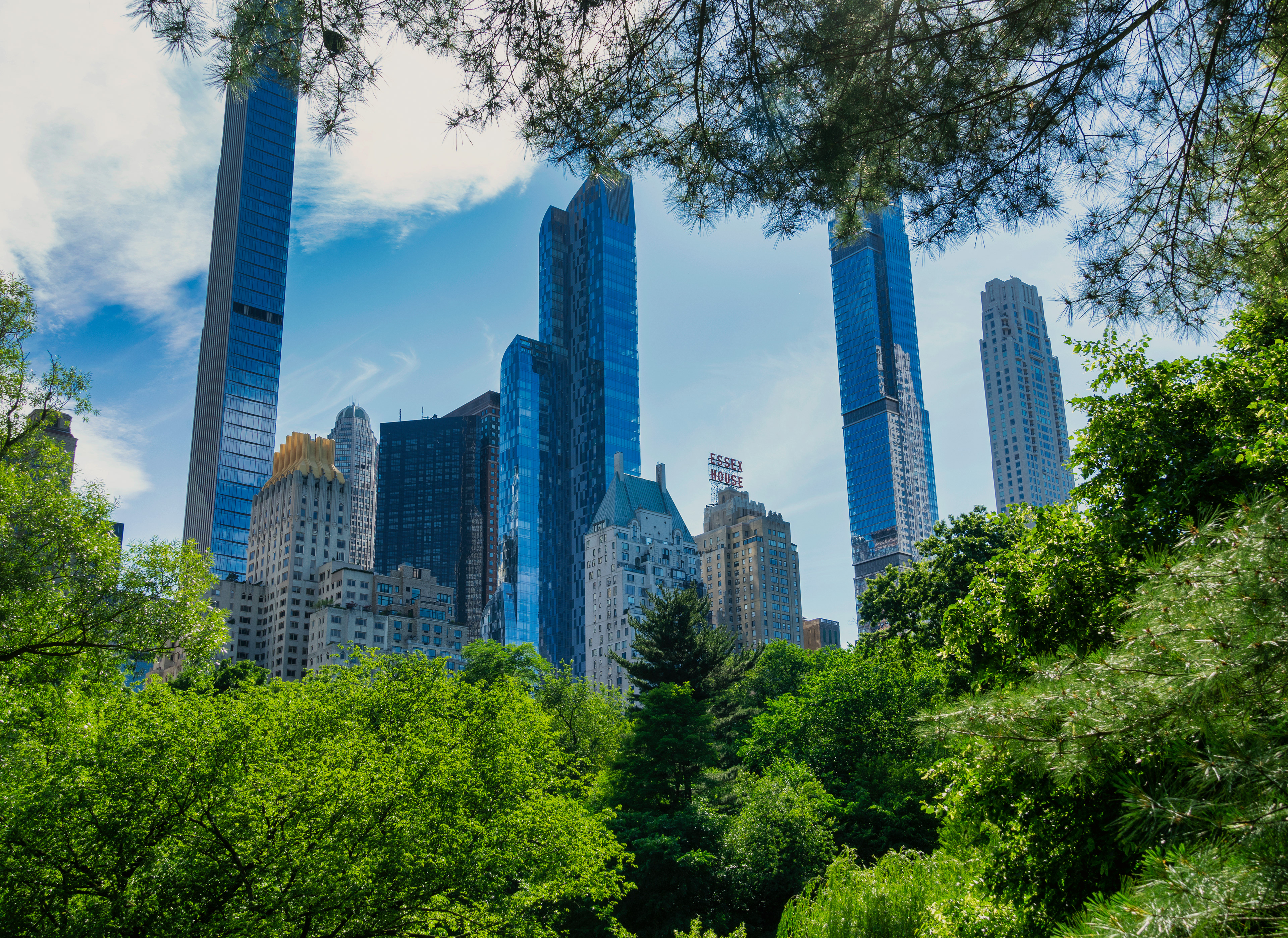 Central Park, New York, New York