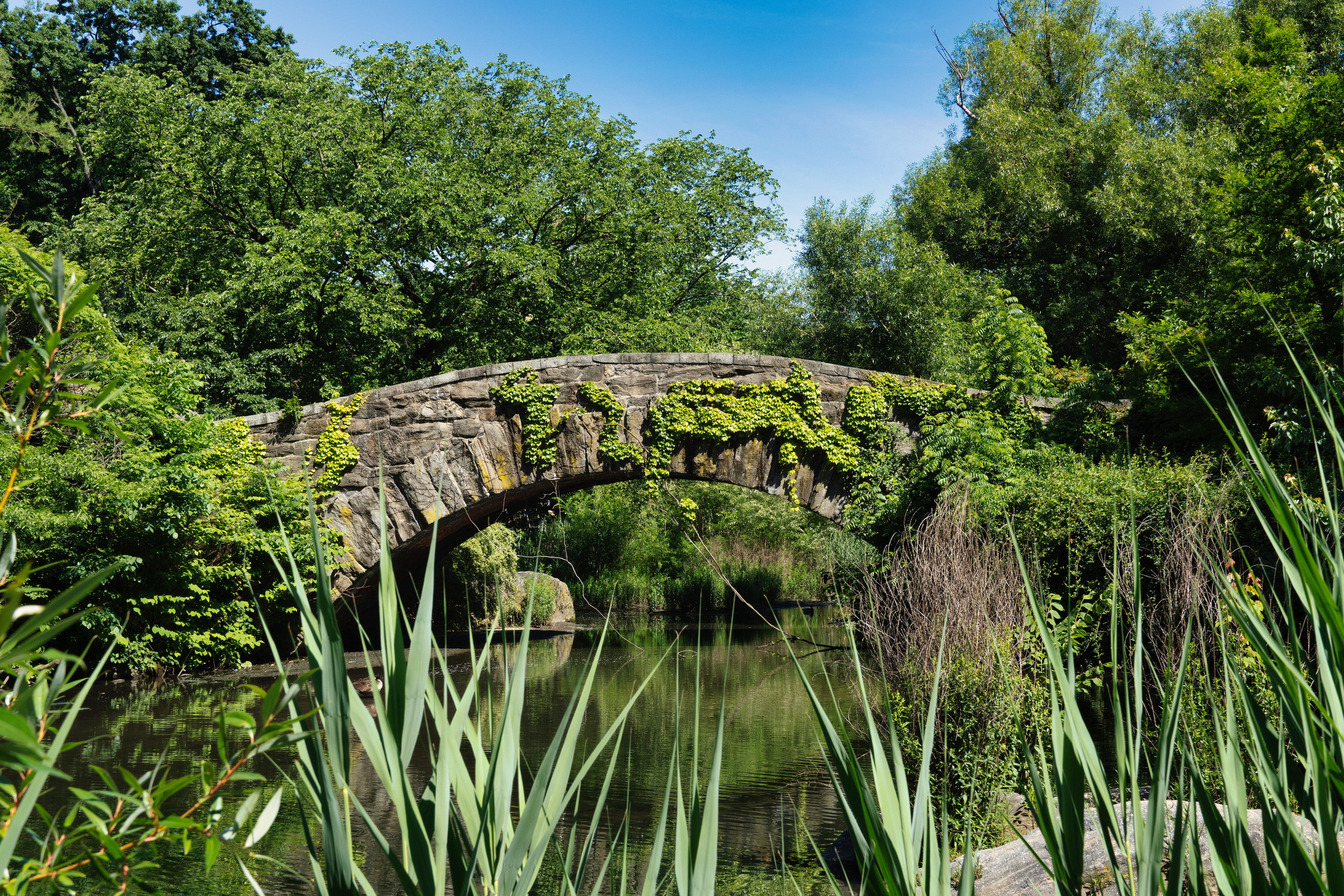 Central Park, New York, New York