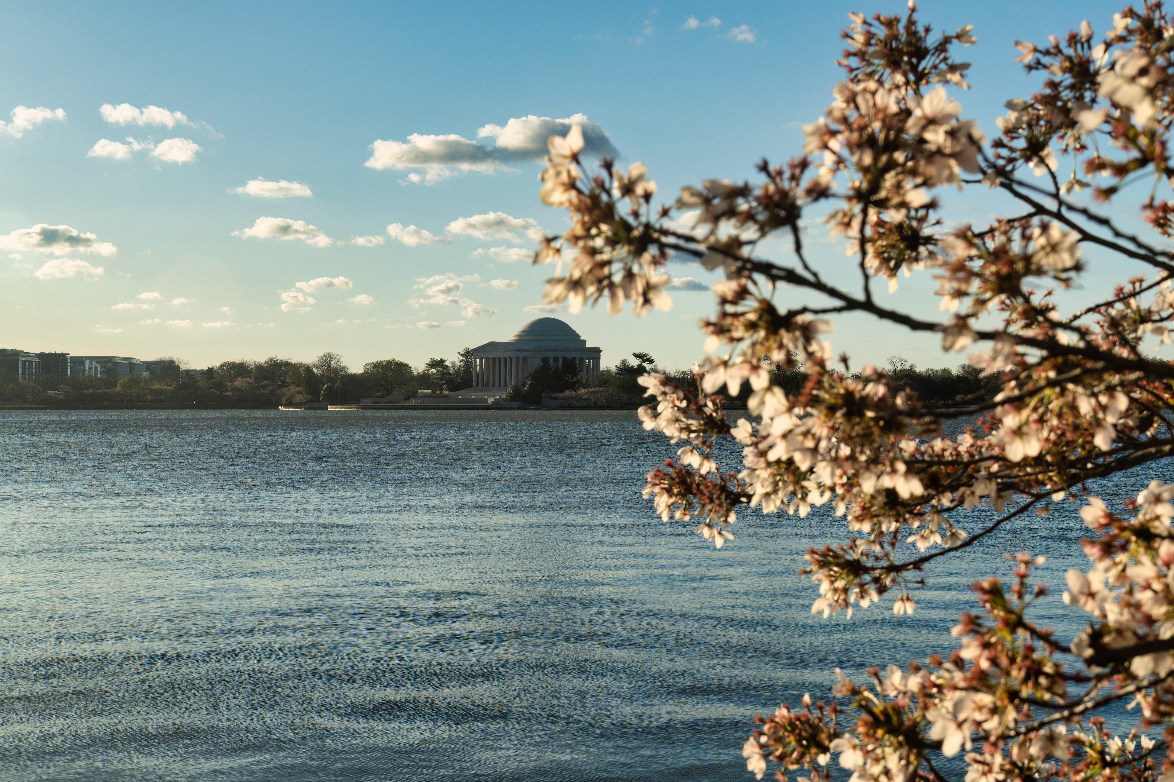 Tidal Basin, Washington D.C.
