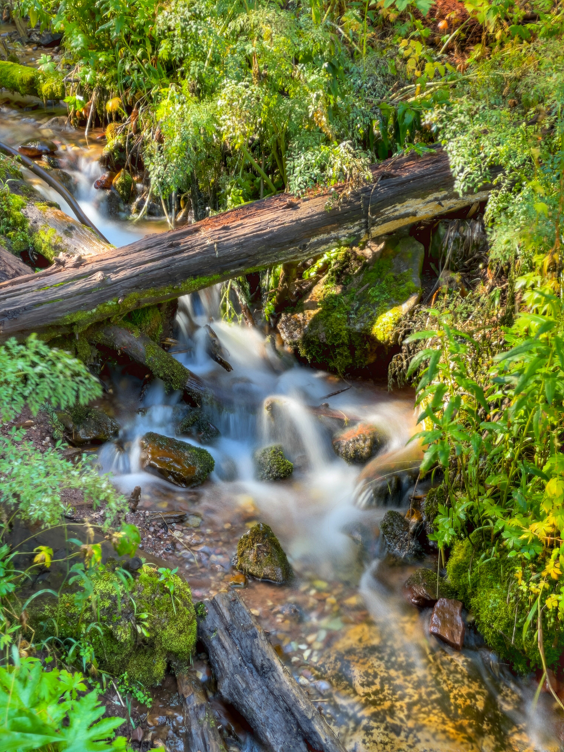 Millcreek Canyon, Utah