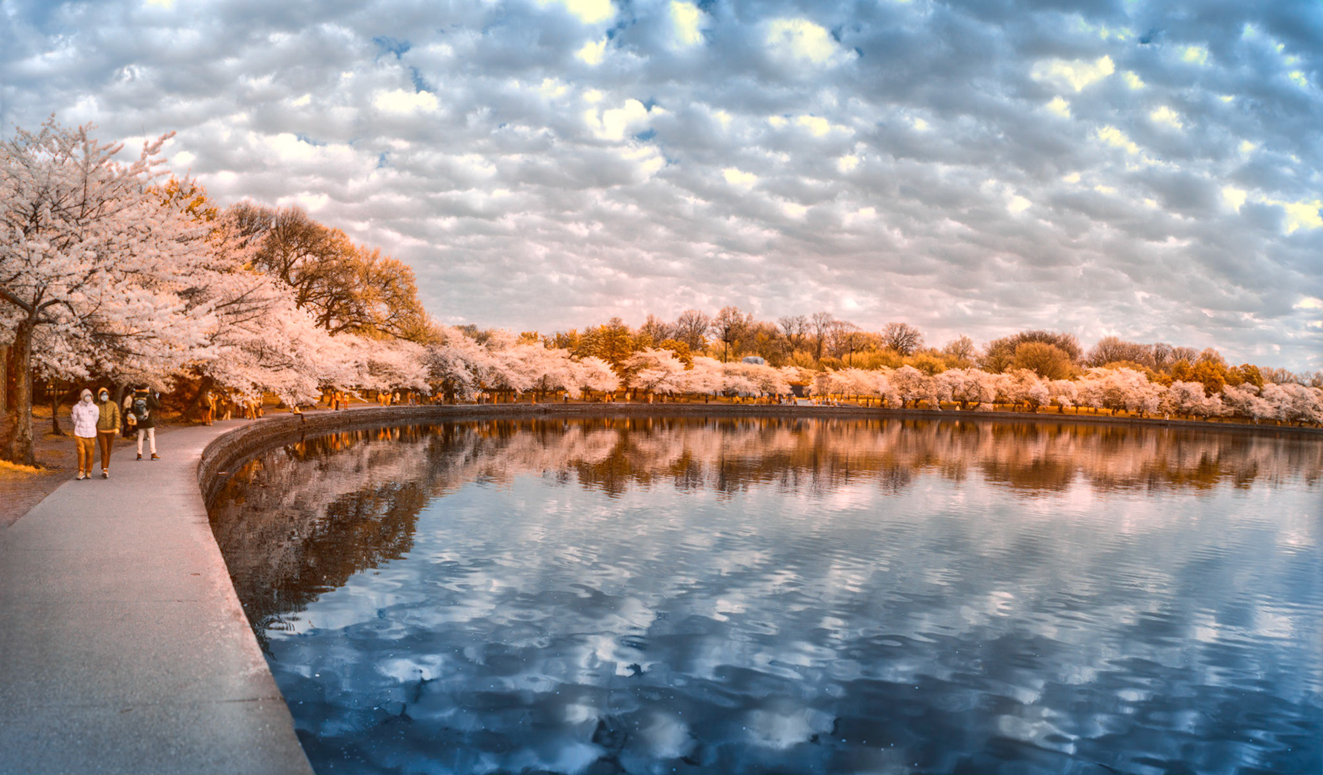 Easter Stroll on the Tidal Bason (infrared intreptation)