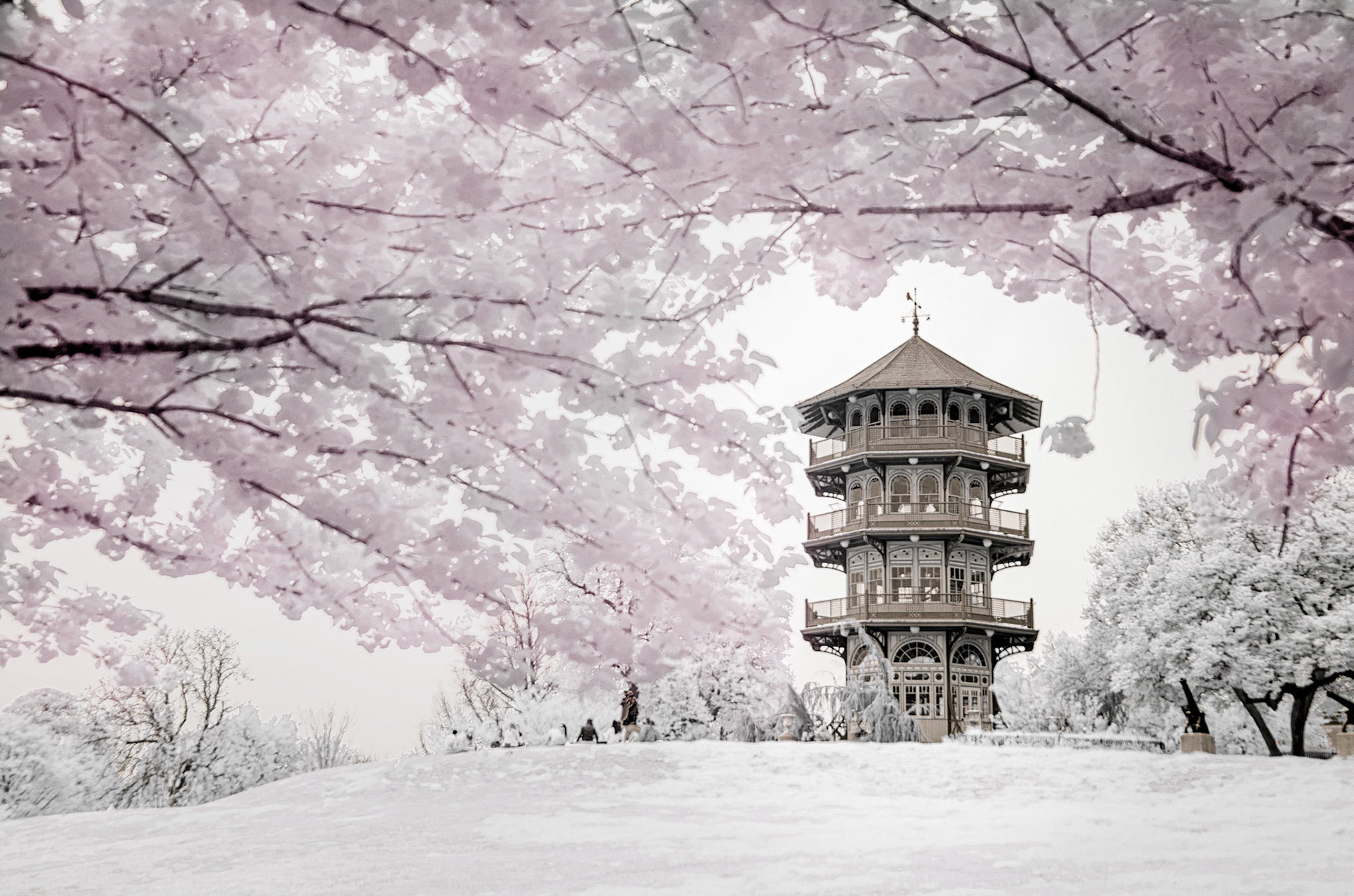 Spring in Patterson Park (infrared)