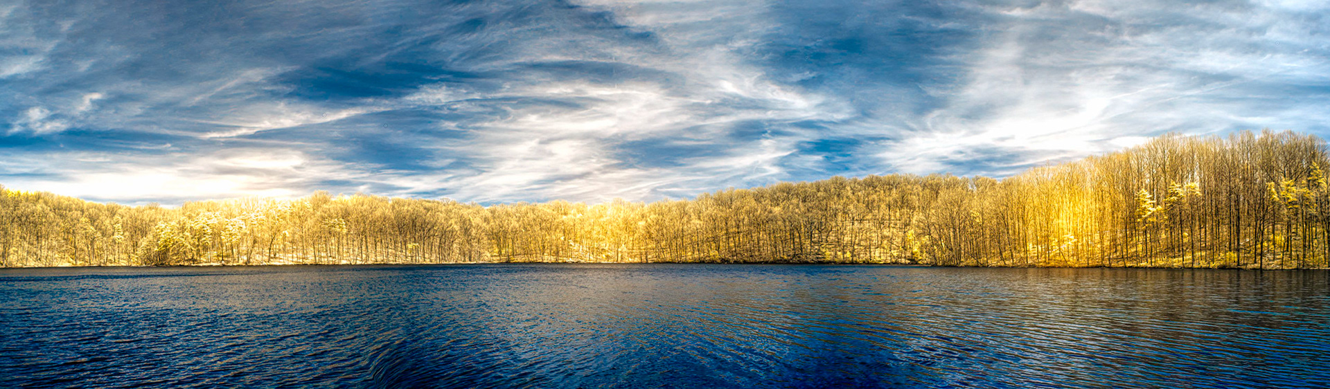 Golden forest (infrared interapretation)