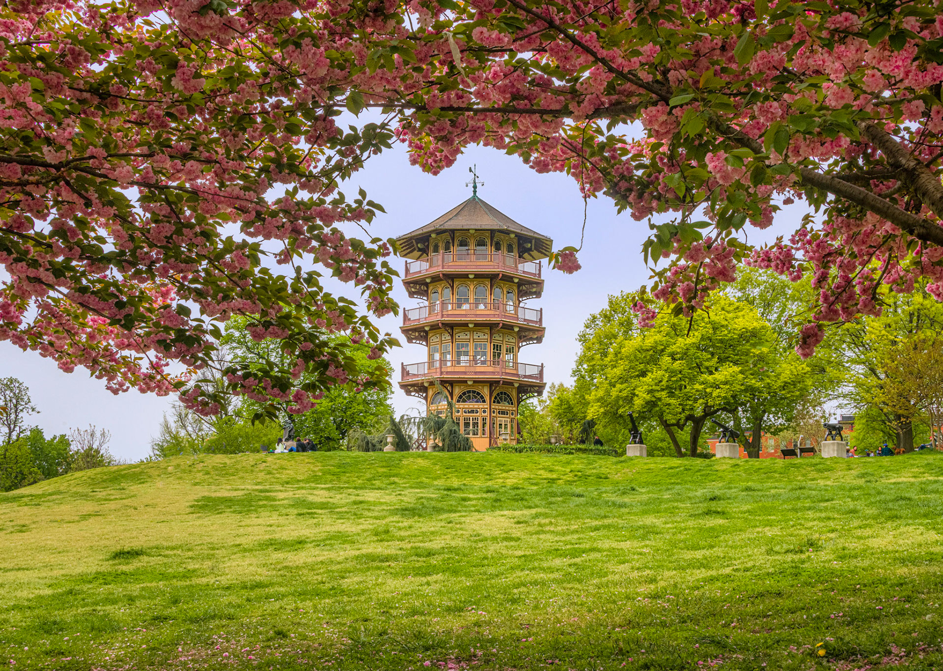 Spring in Patterson Park