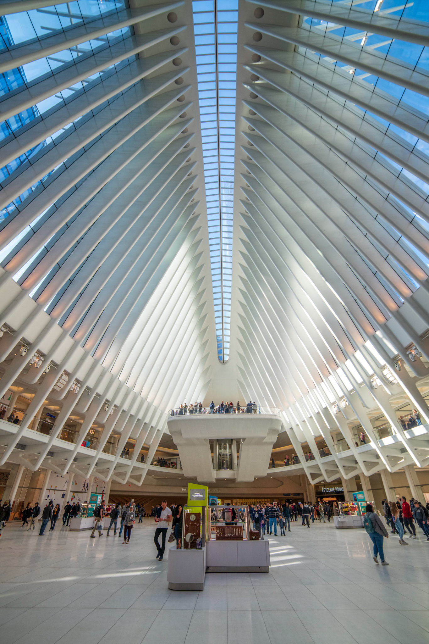 Oculus Terminal