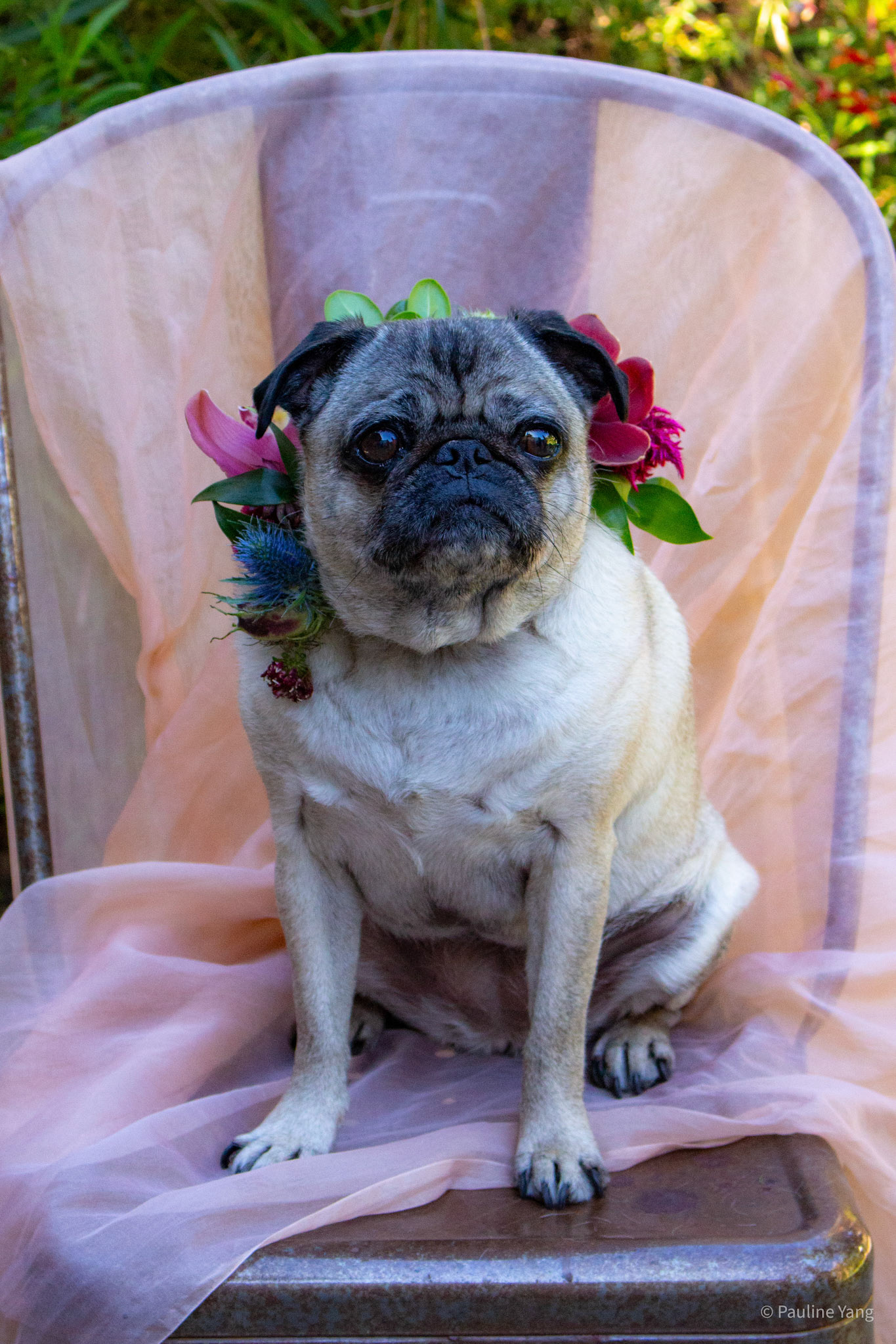 bridal photoshoot