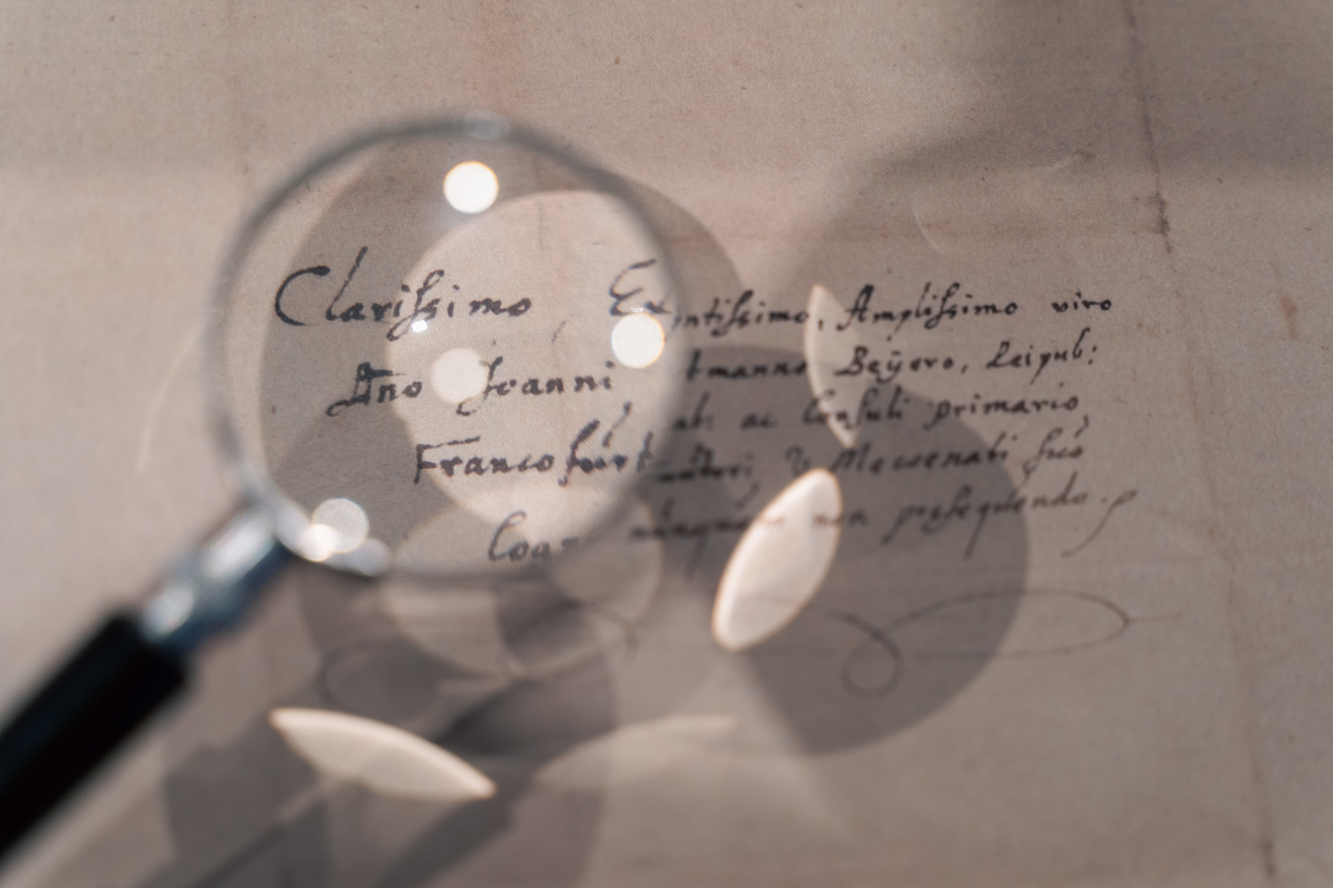 ausstellung beyers bücherschatz, zentralbibliothek bockenheim, tobias störmer