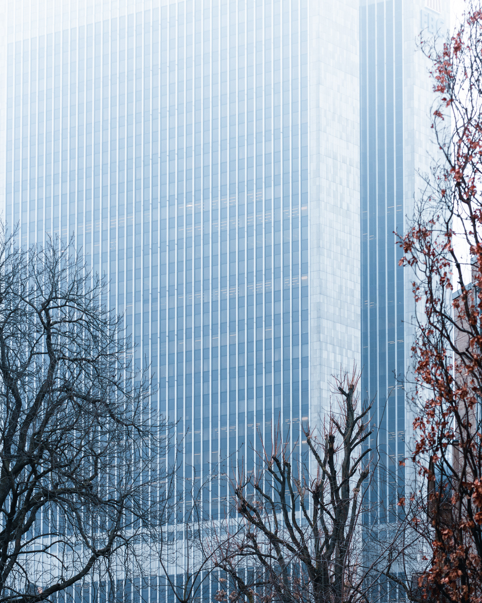 frankfurt, street photography, tobias störmer