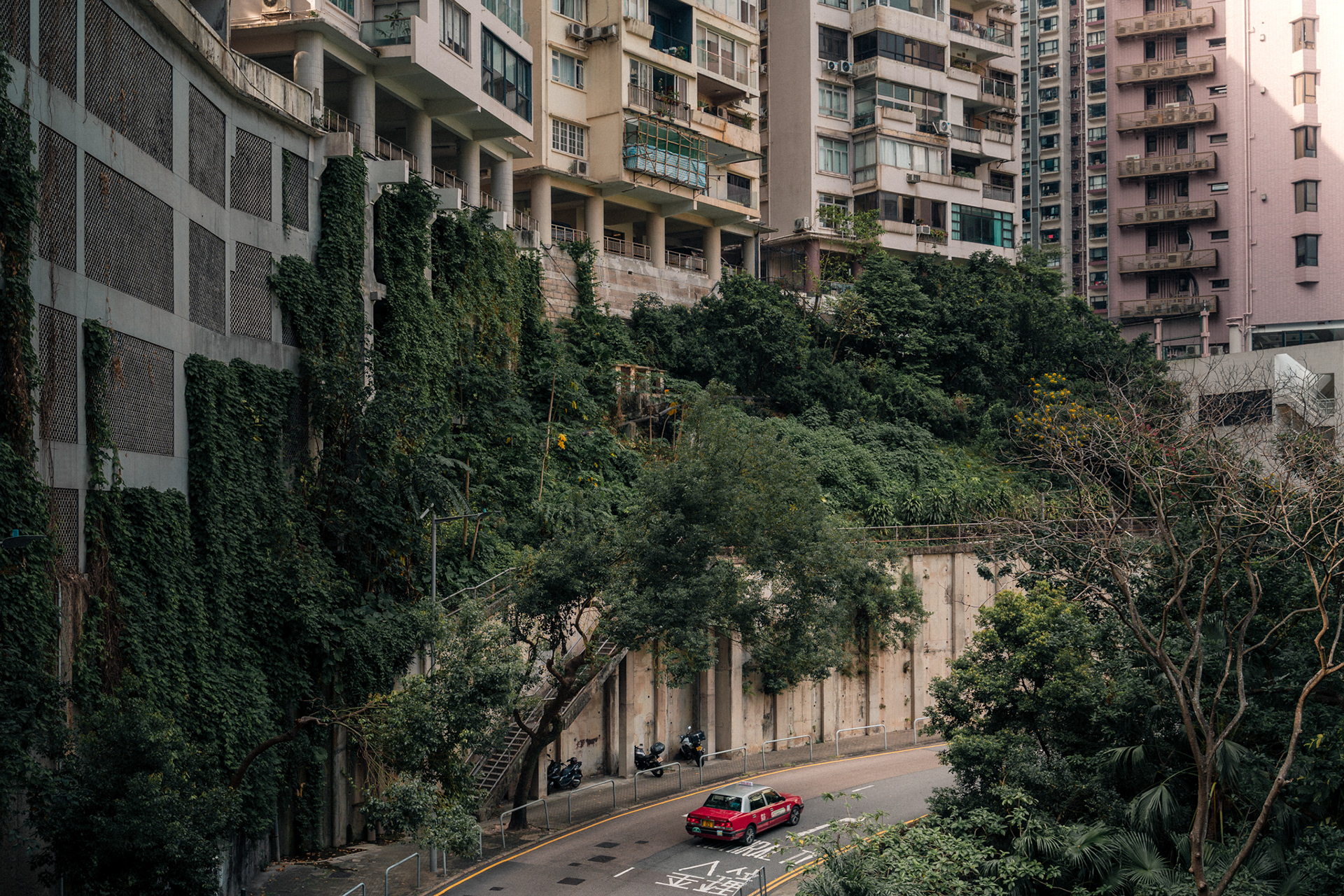 taxi im grünen, hongkong, 2025