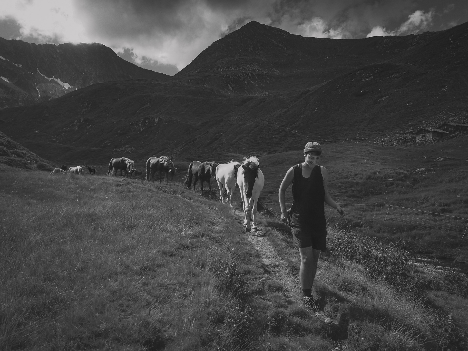 pferdeflüsterer, österreich 24, tobias störmer travel photography