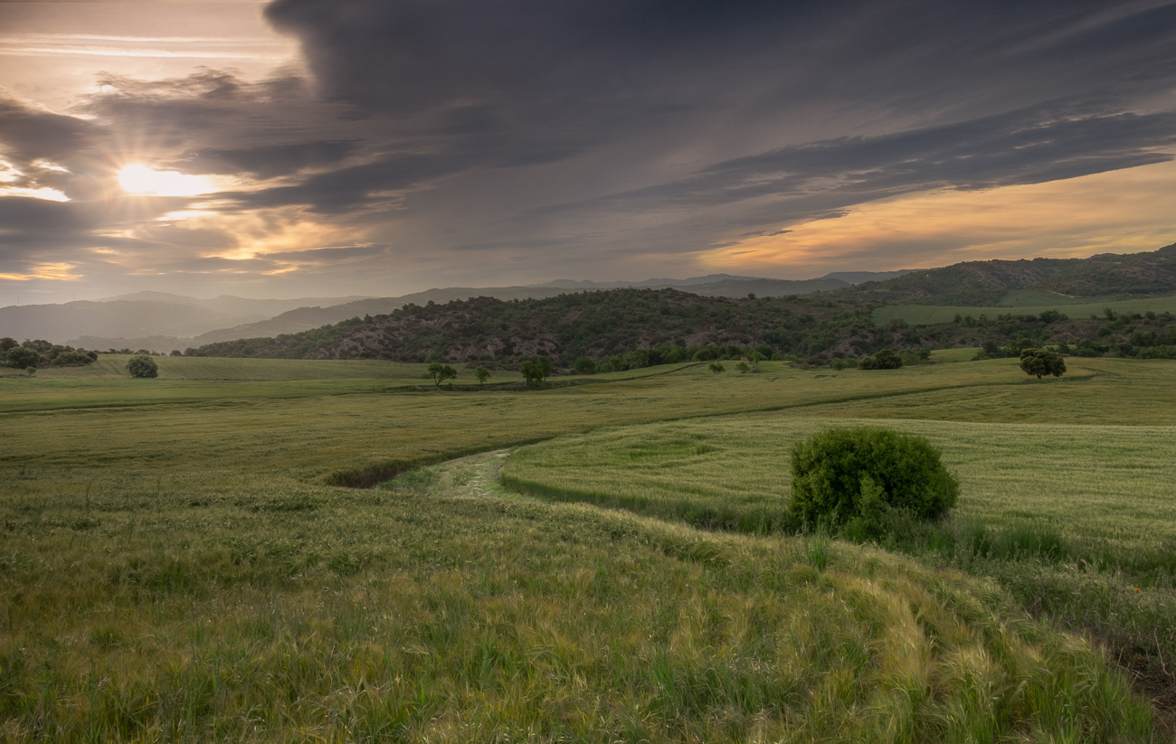 La Segarra