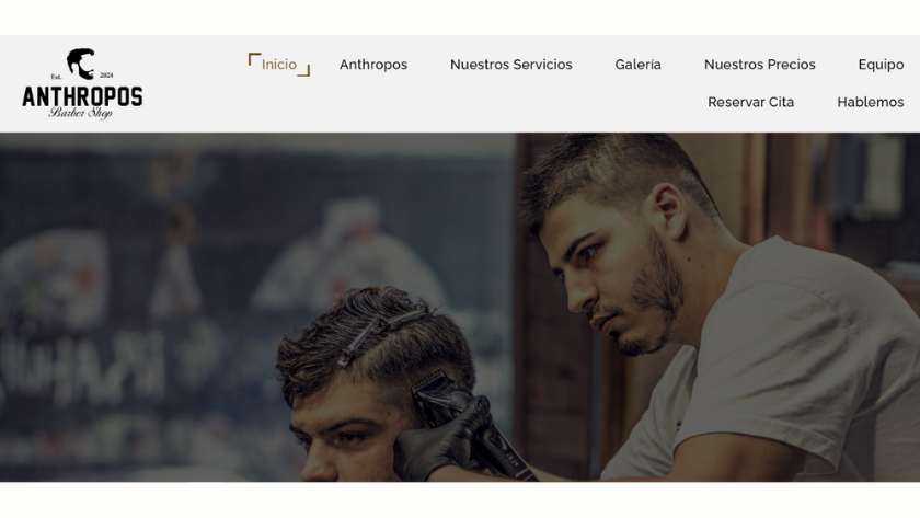 Página web Ecommerce