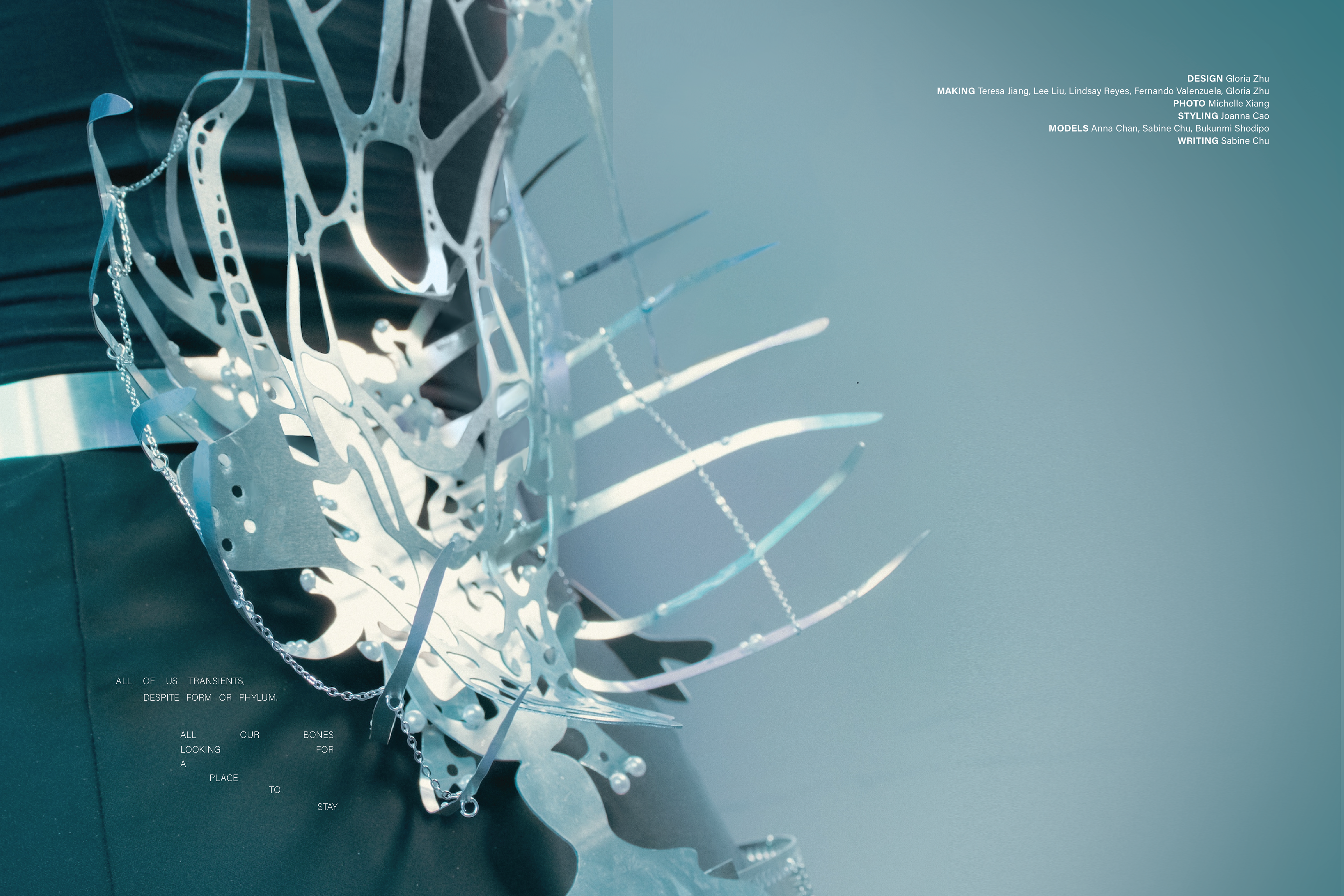Pages 15-16