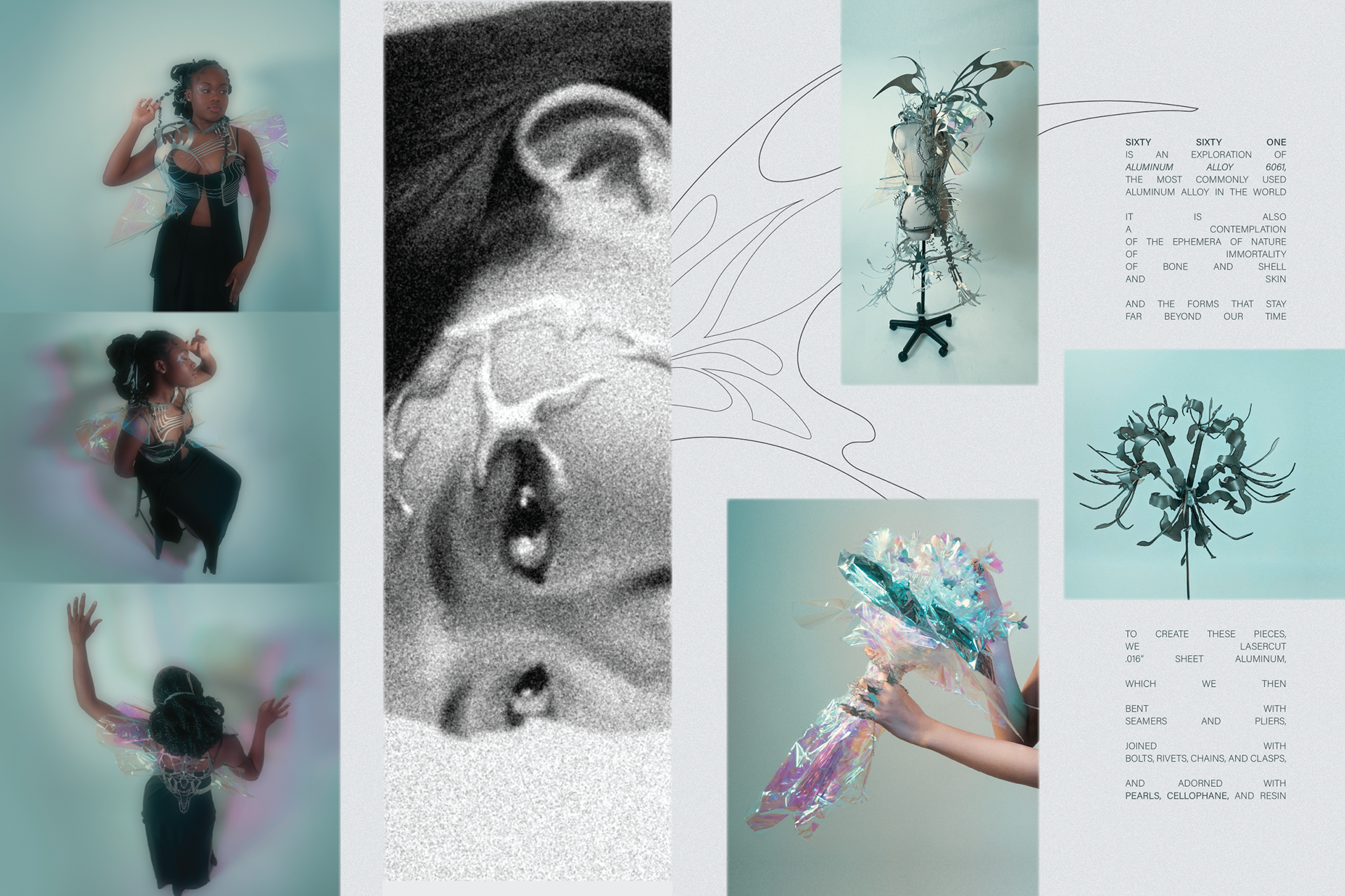Pages 5-6