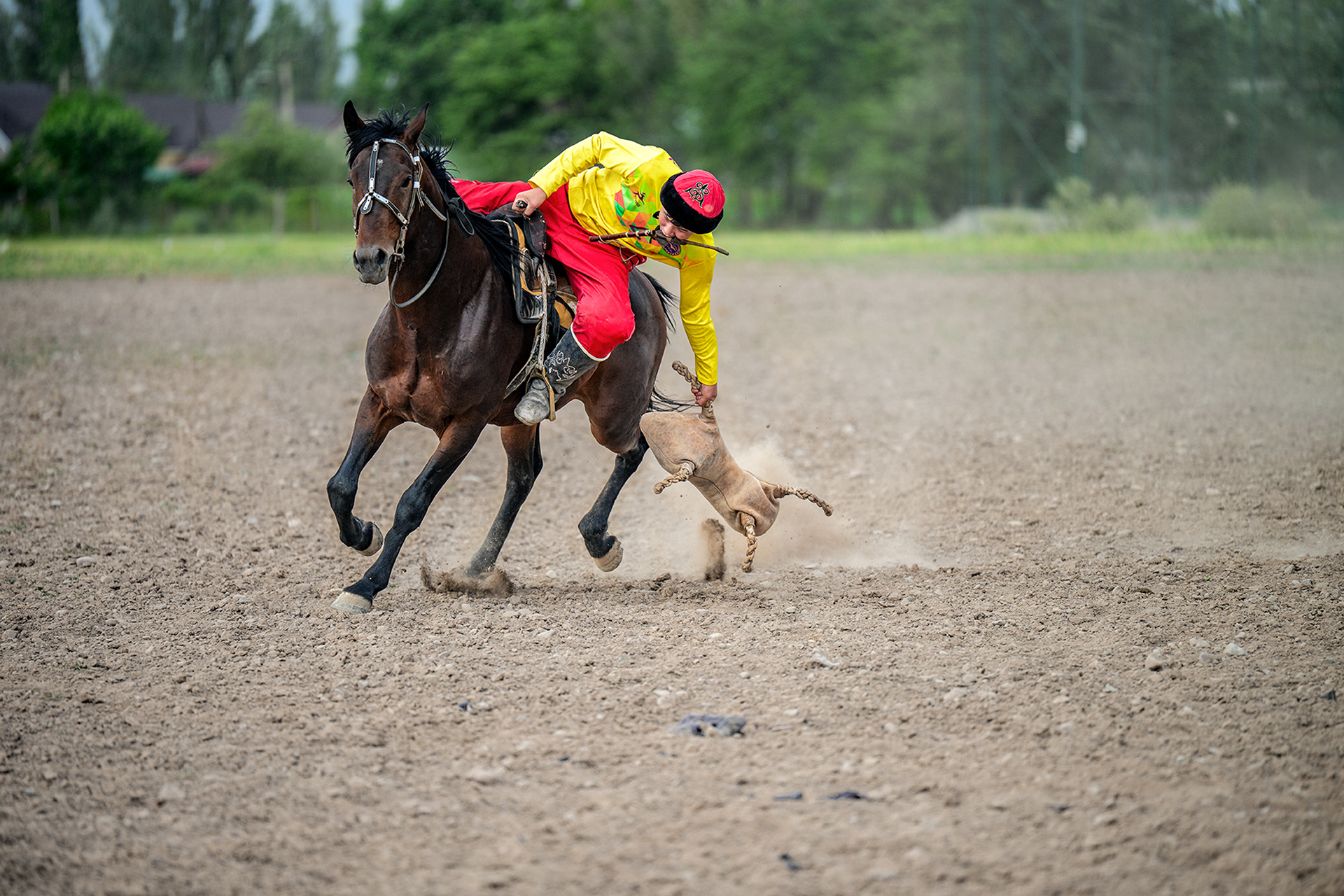 An authentic documentary photograph of a kok boru training session in Kyrgyzstan. A young man is riding a dark brown horse and is grabbing a carcass.
