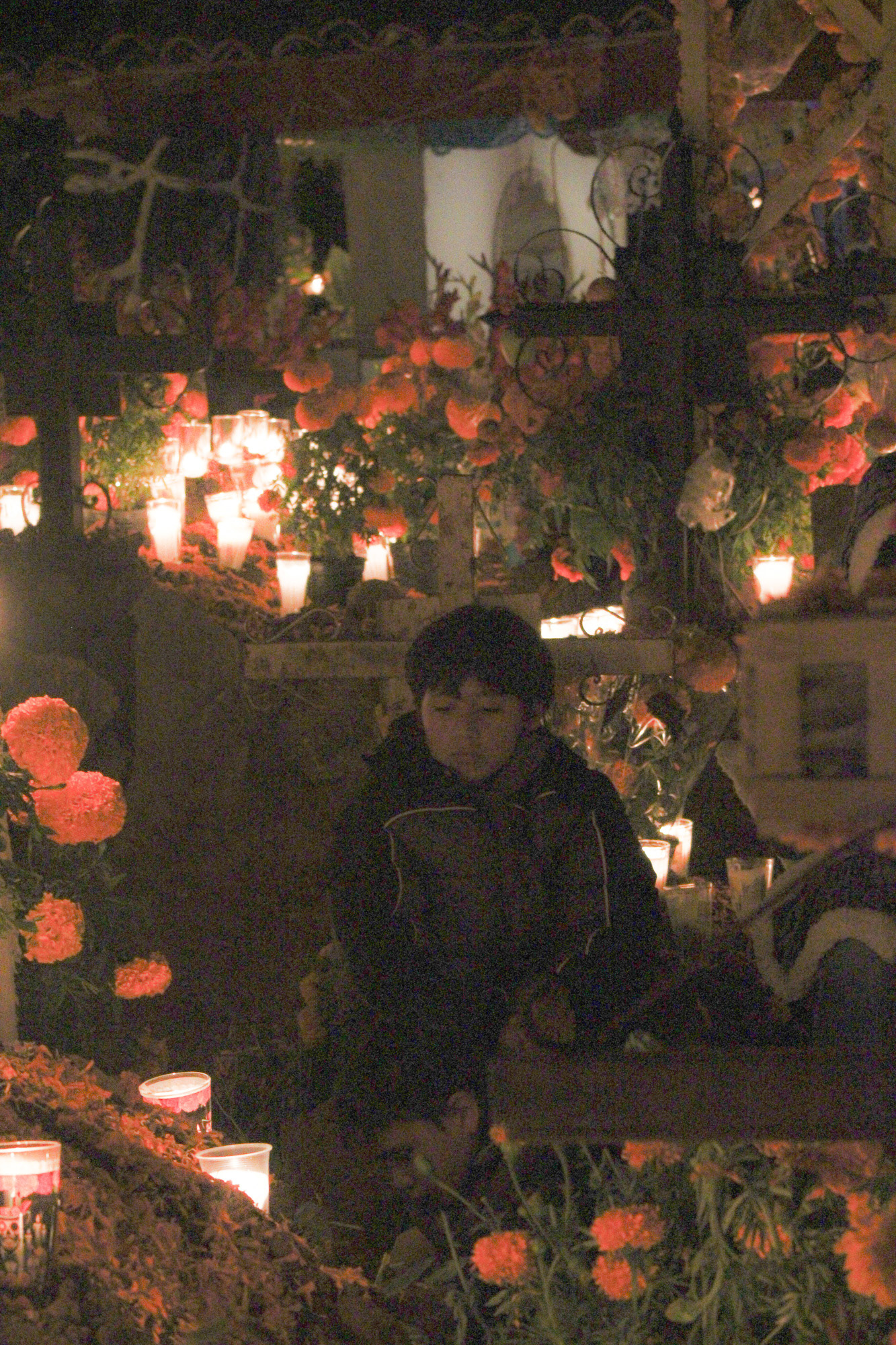 Michoacan, Mexico, November 2024