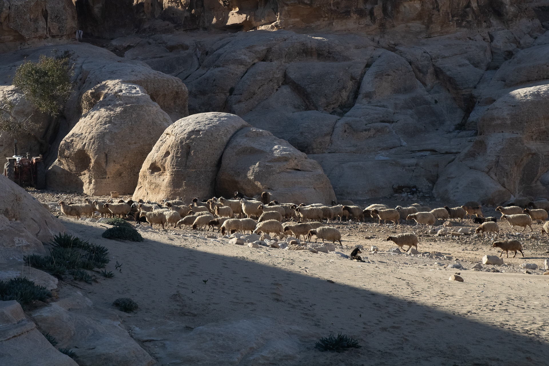 Petra, Jordan, December 2025