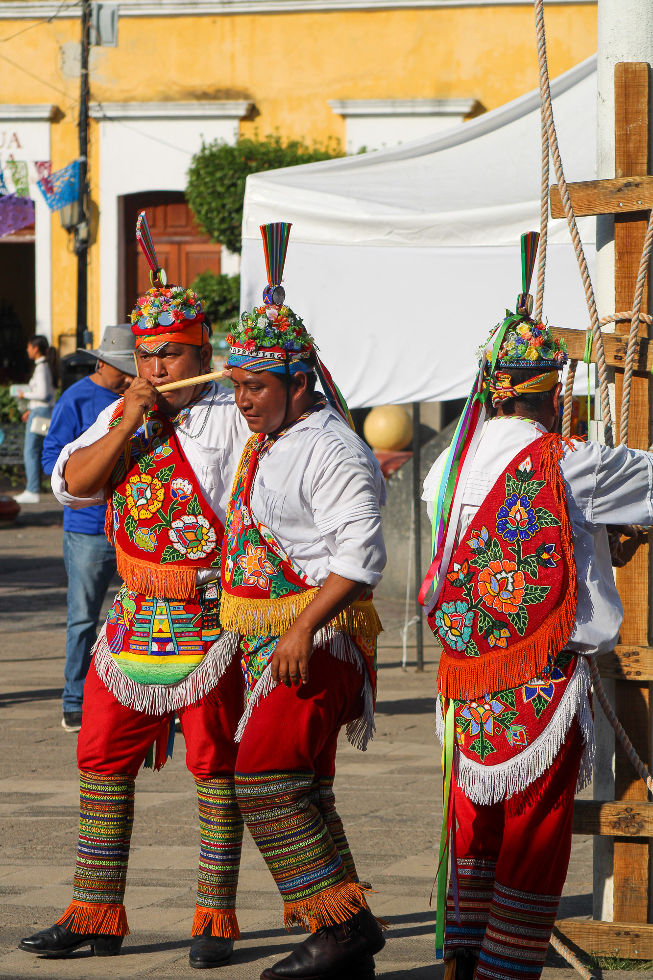 Tequila, Mexico, November 2024